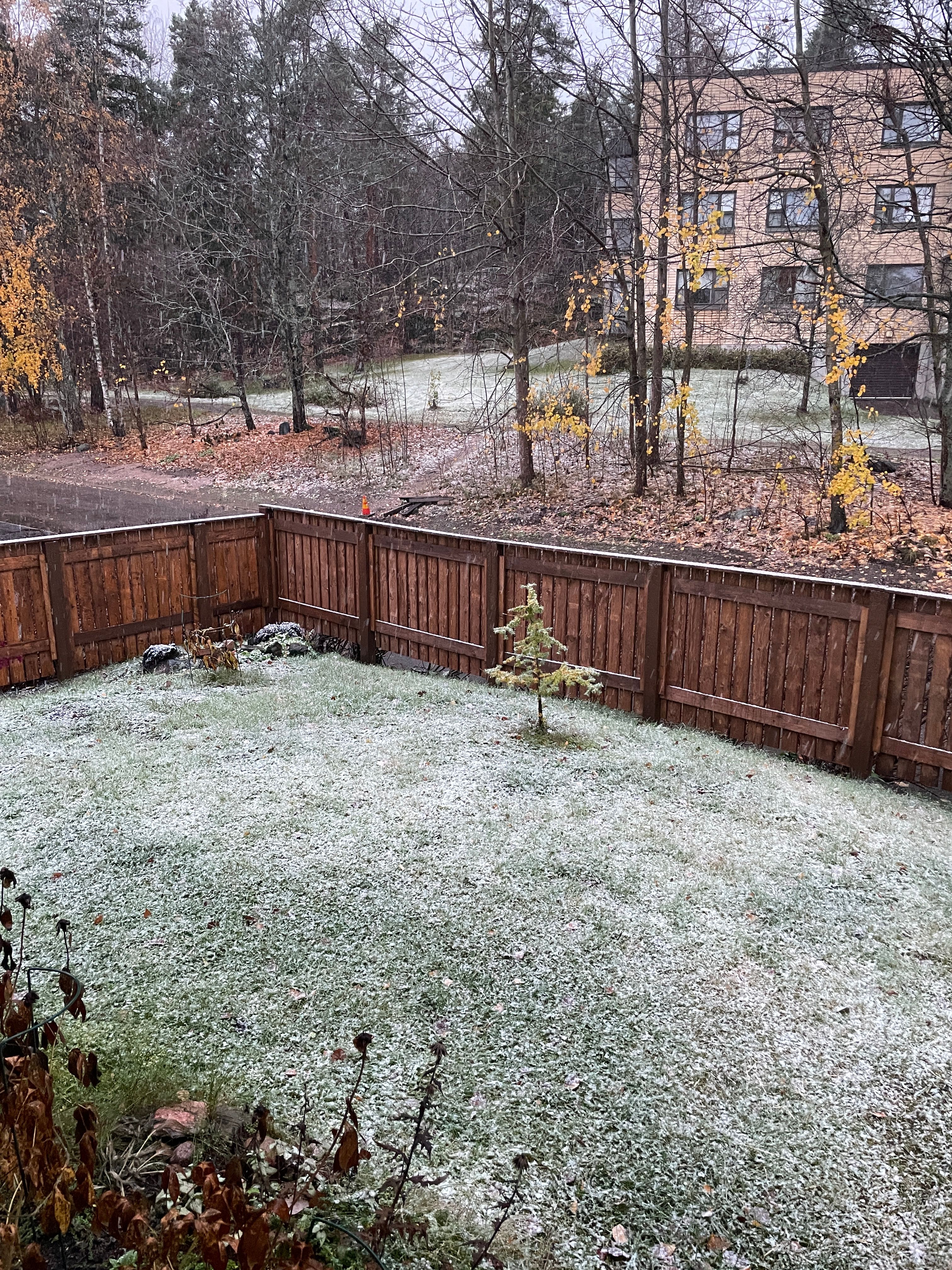 image-13