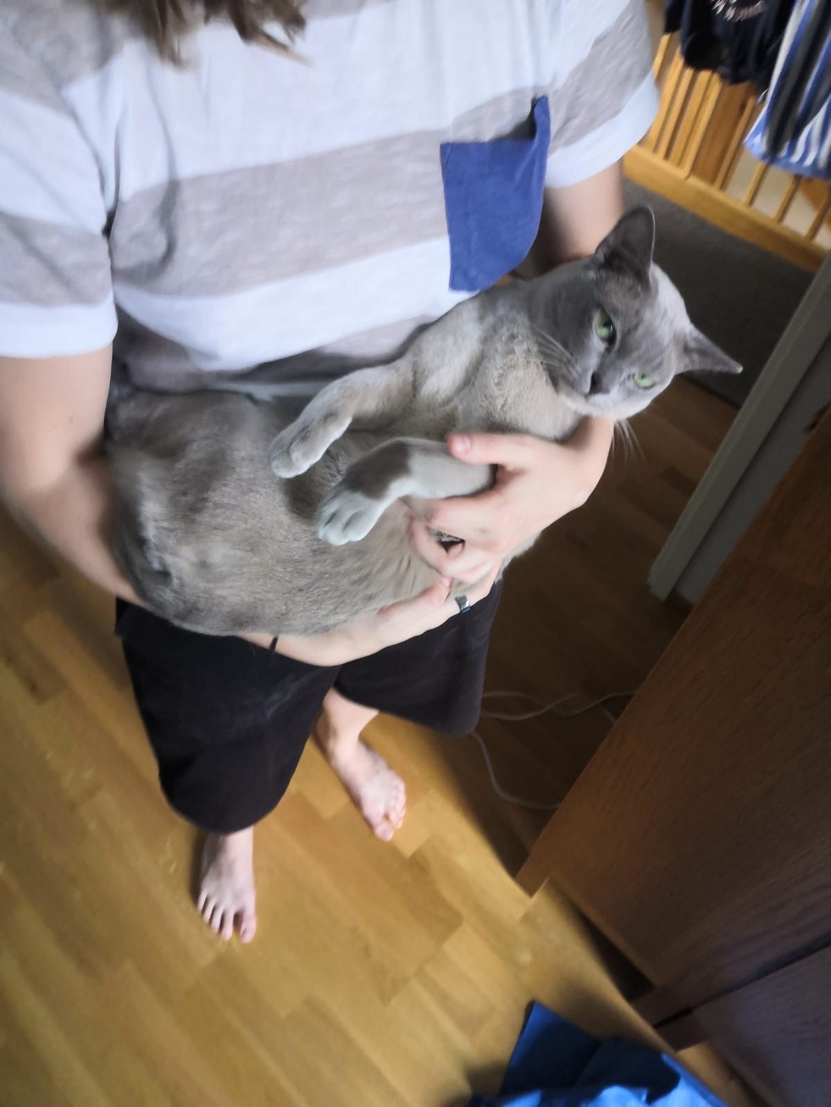 image-8