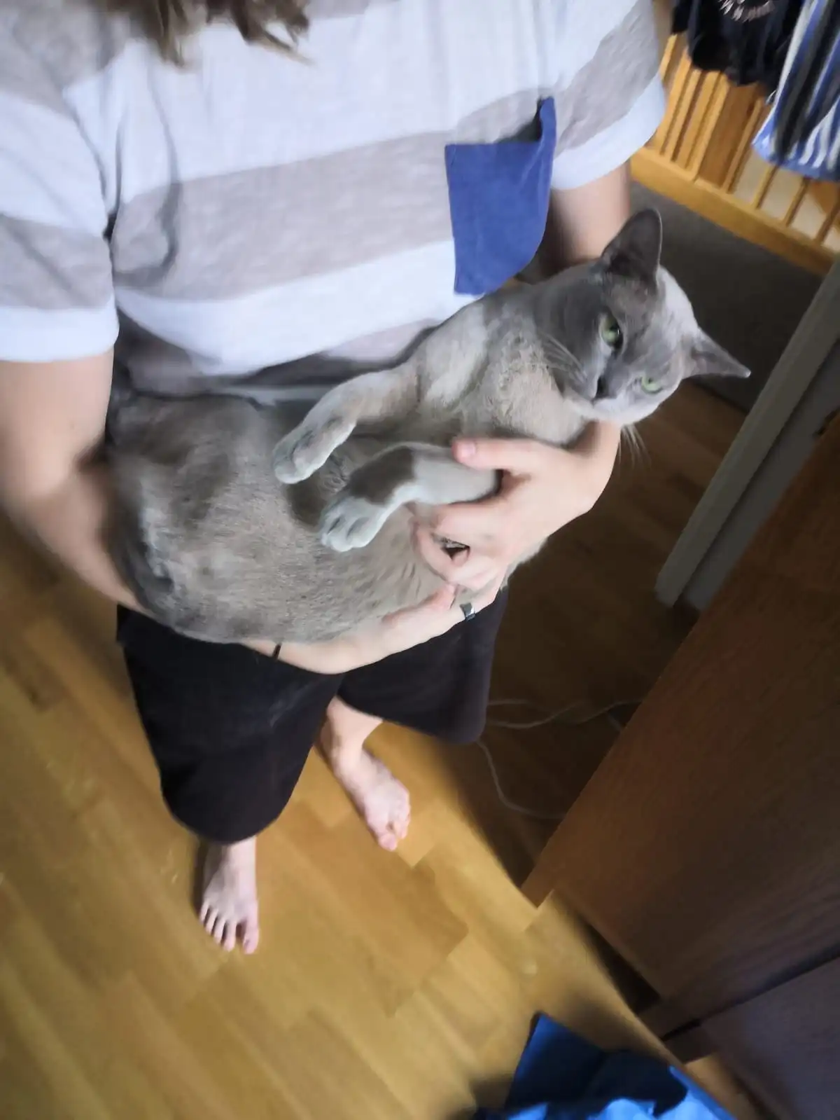image-8