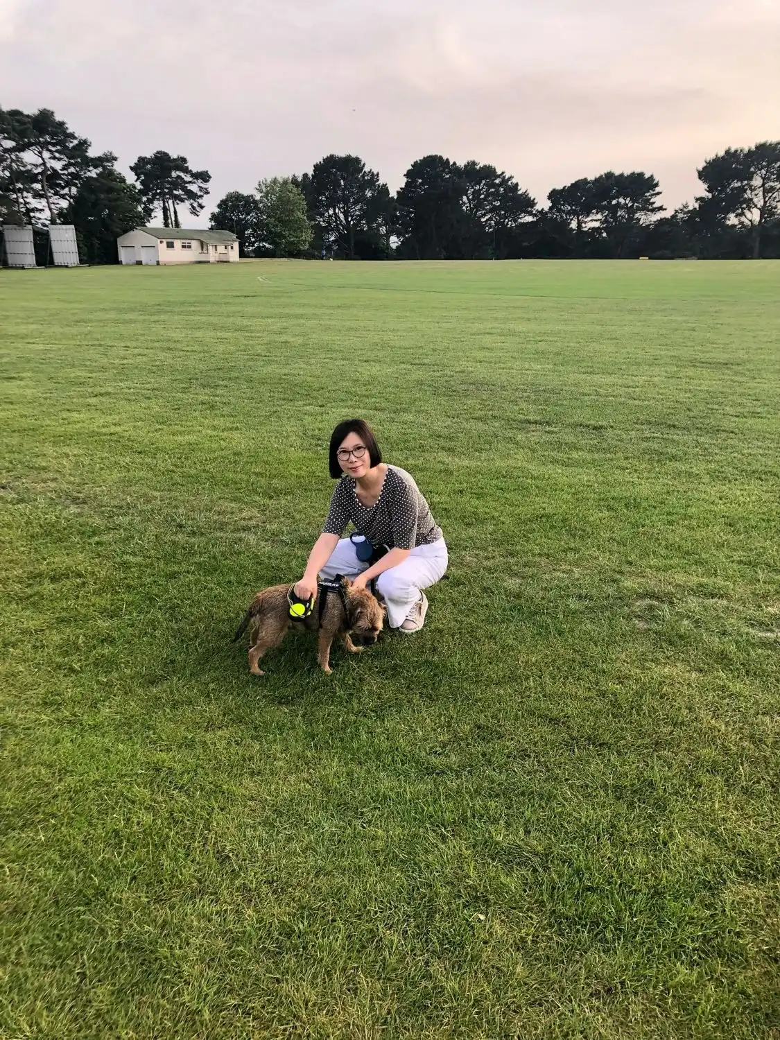 image-8
