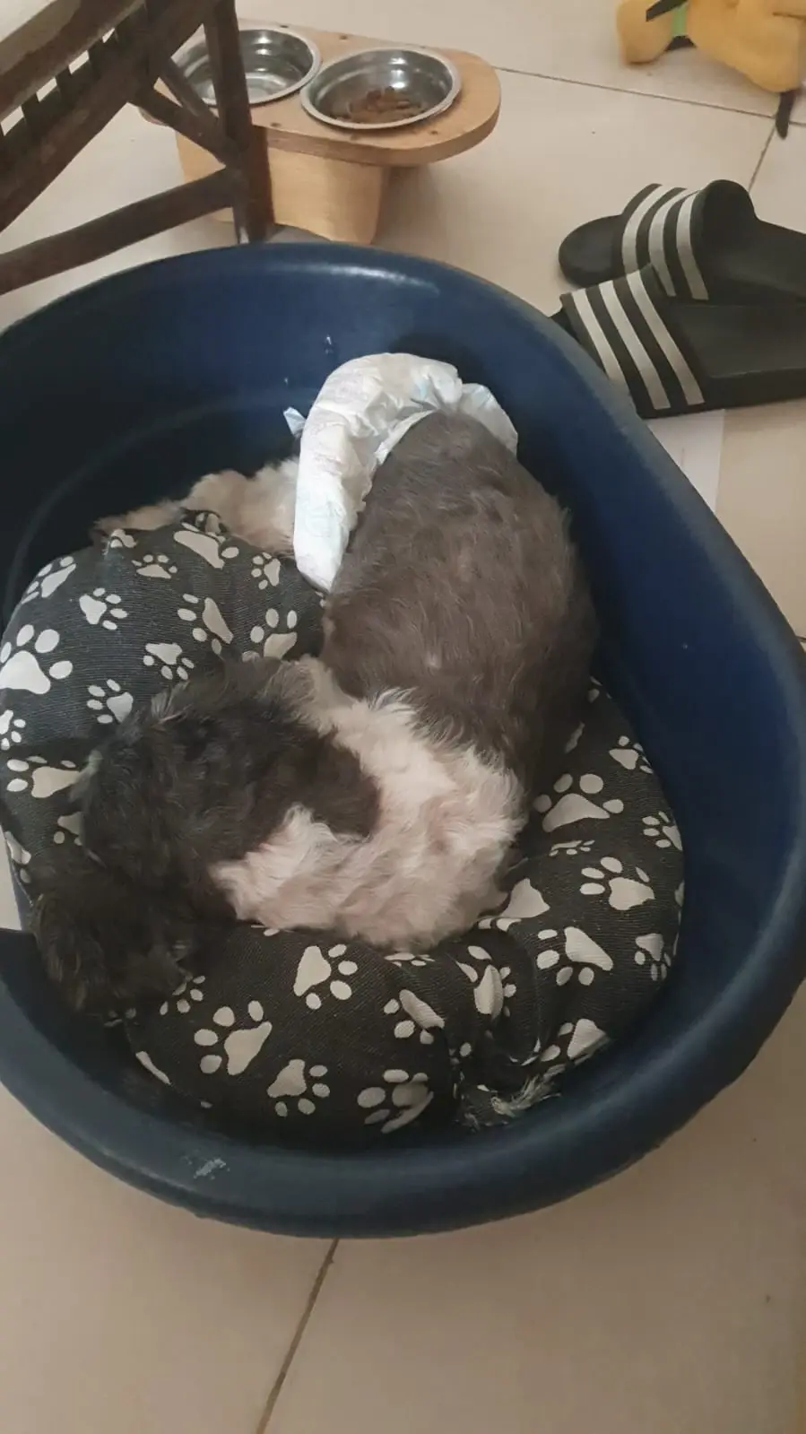 image-3