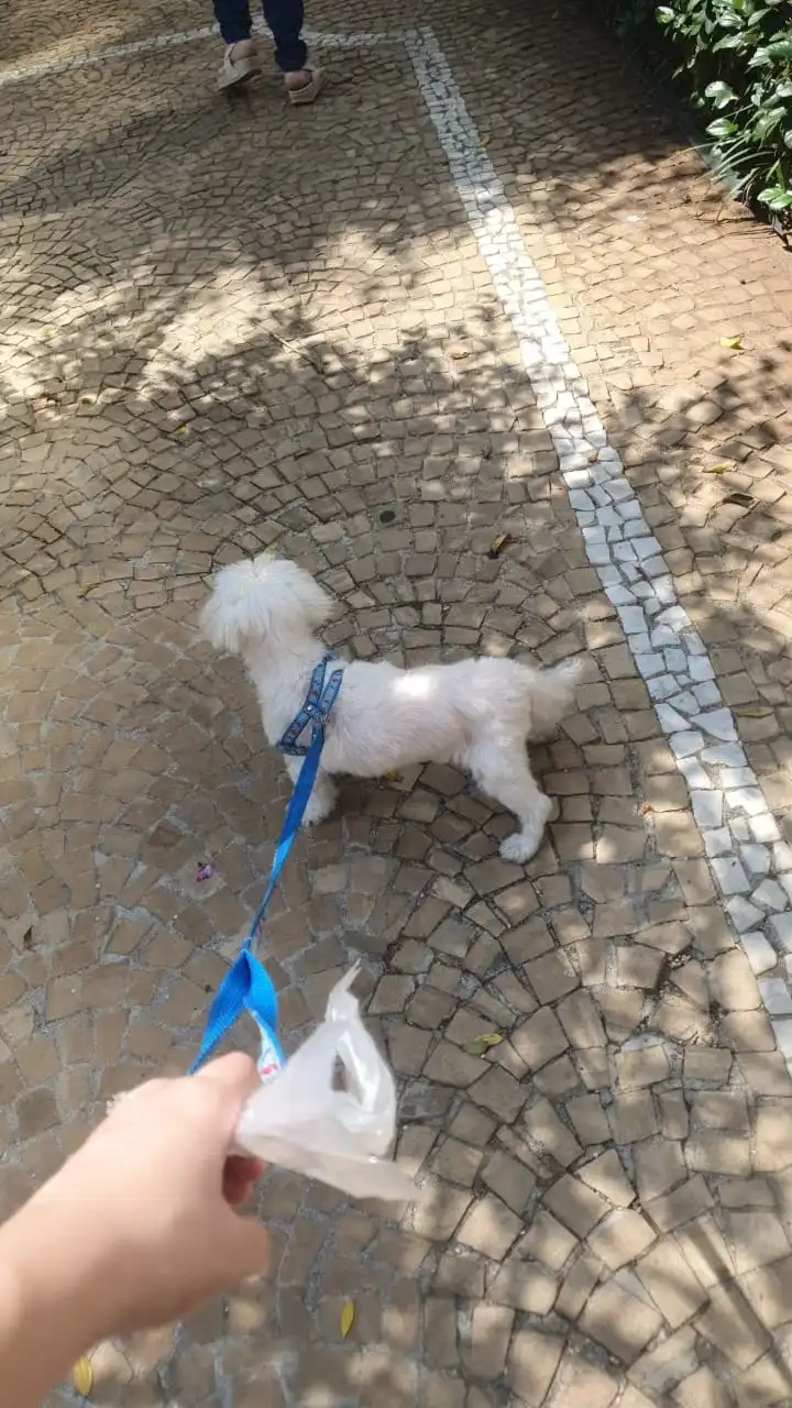 image-18