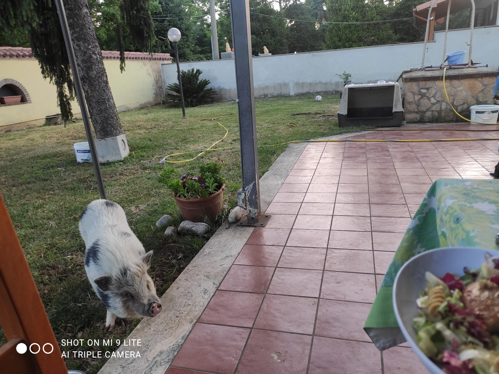 image-15