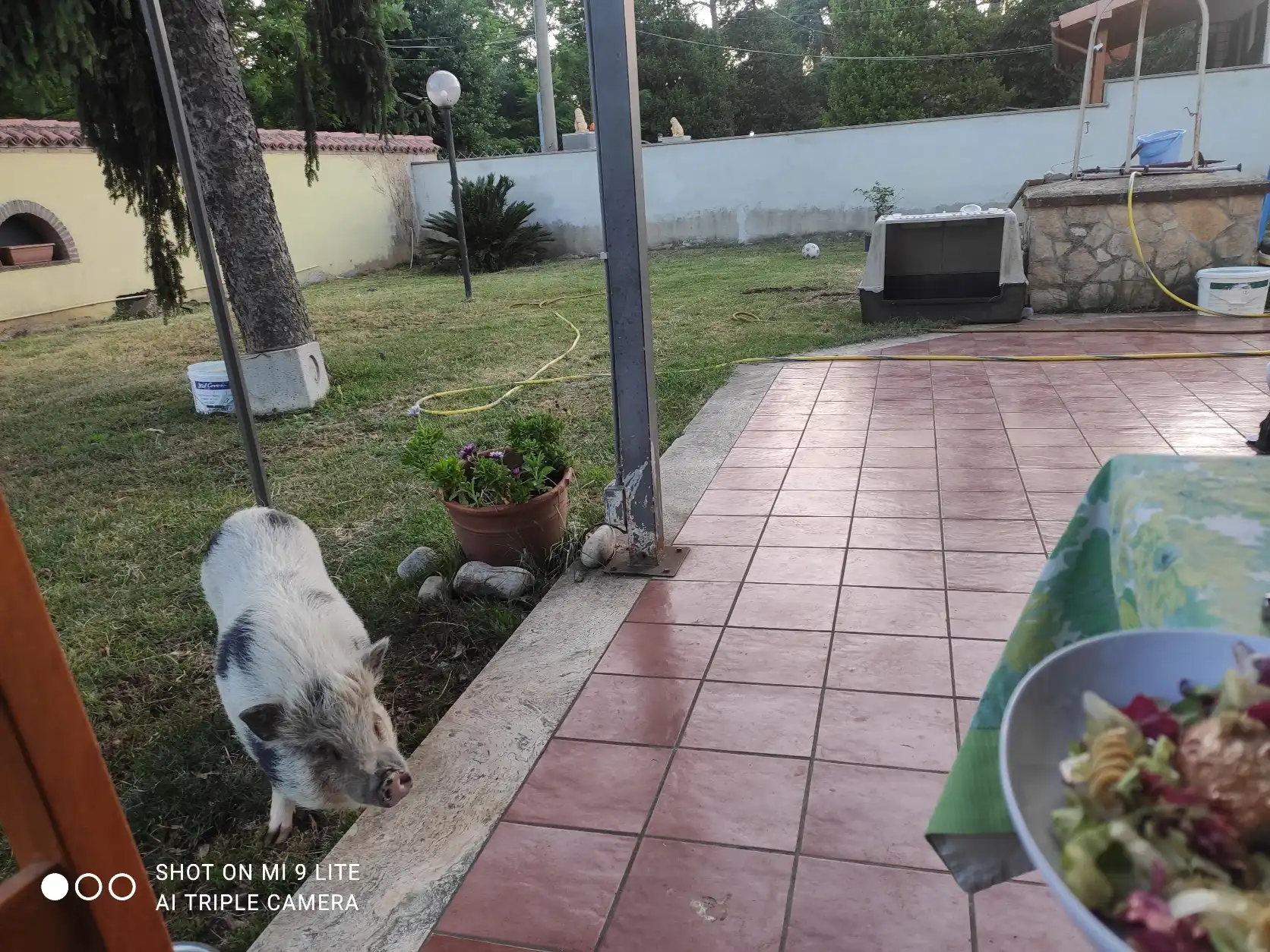 image-15