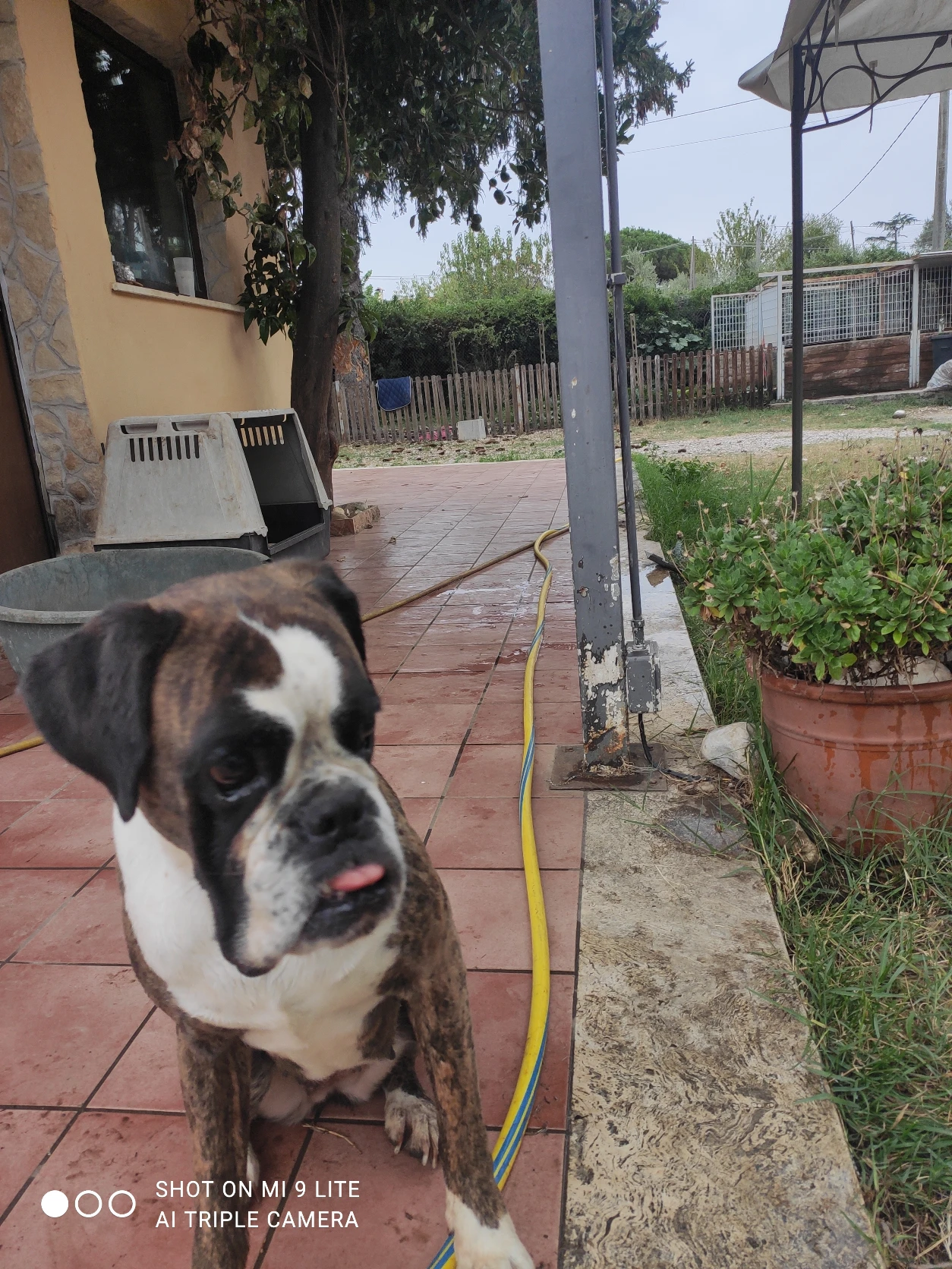 image-17