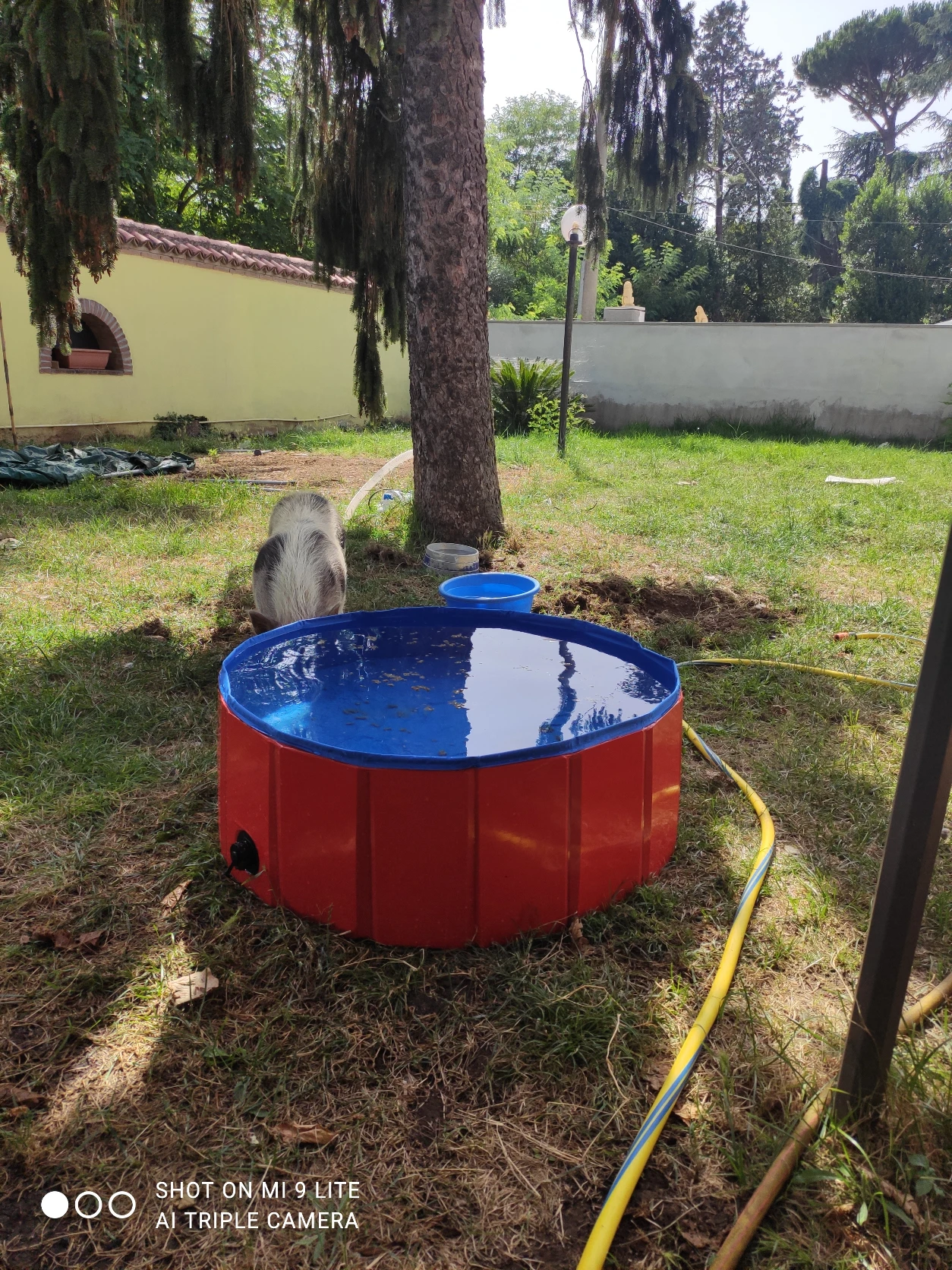 image-18