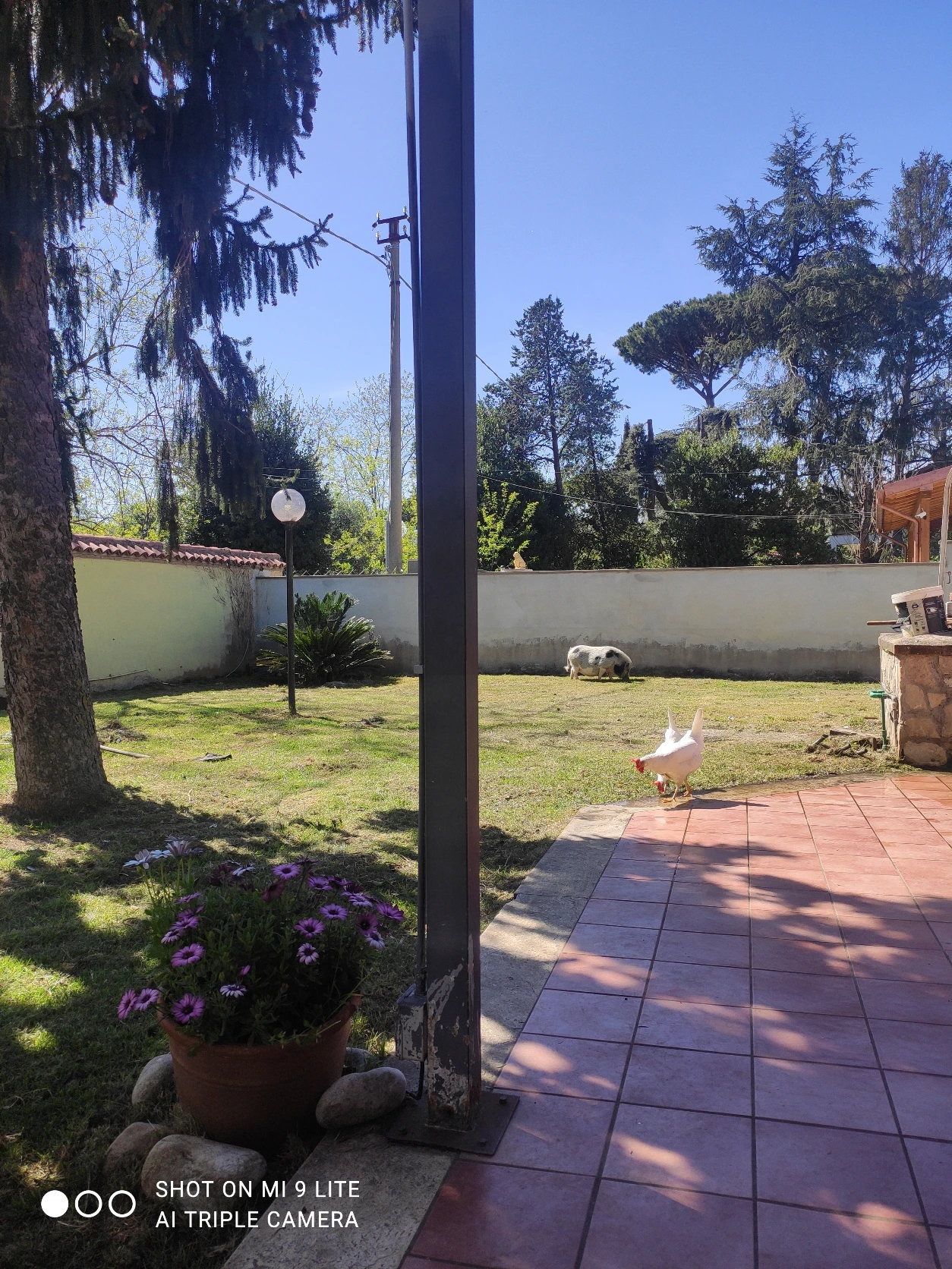 image-16