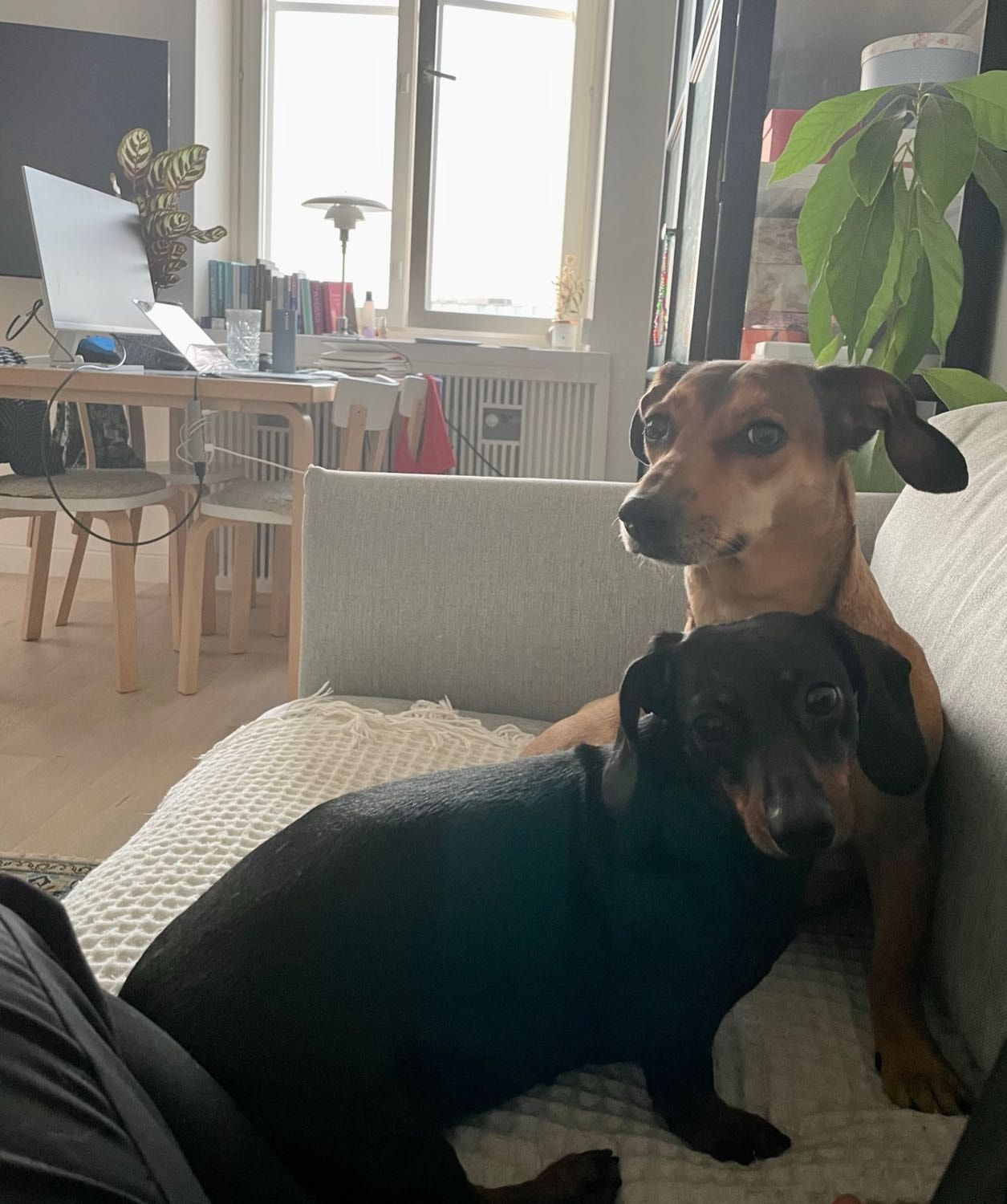 image-27