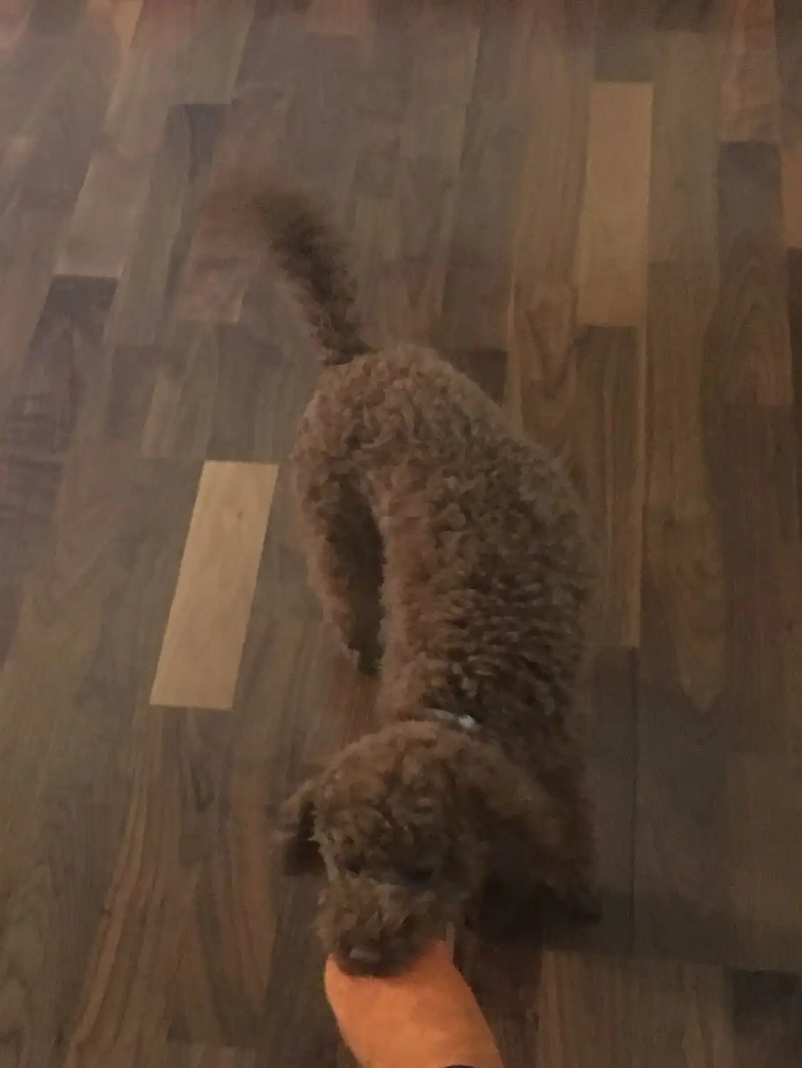image-6
