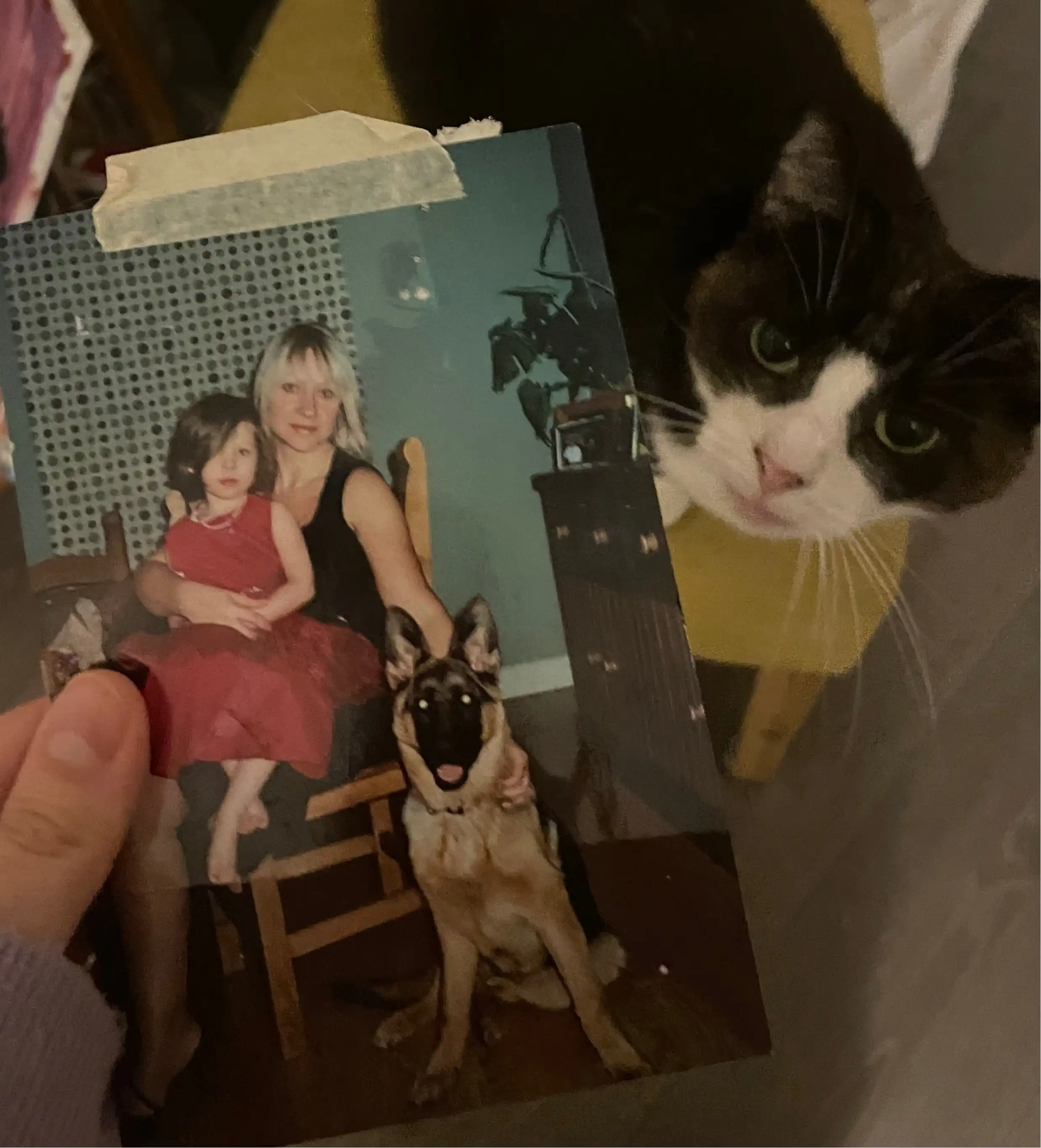 image-10