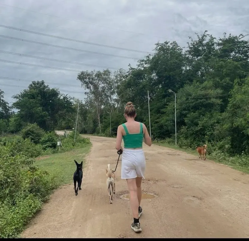 image-4