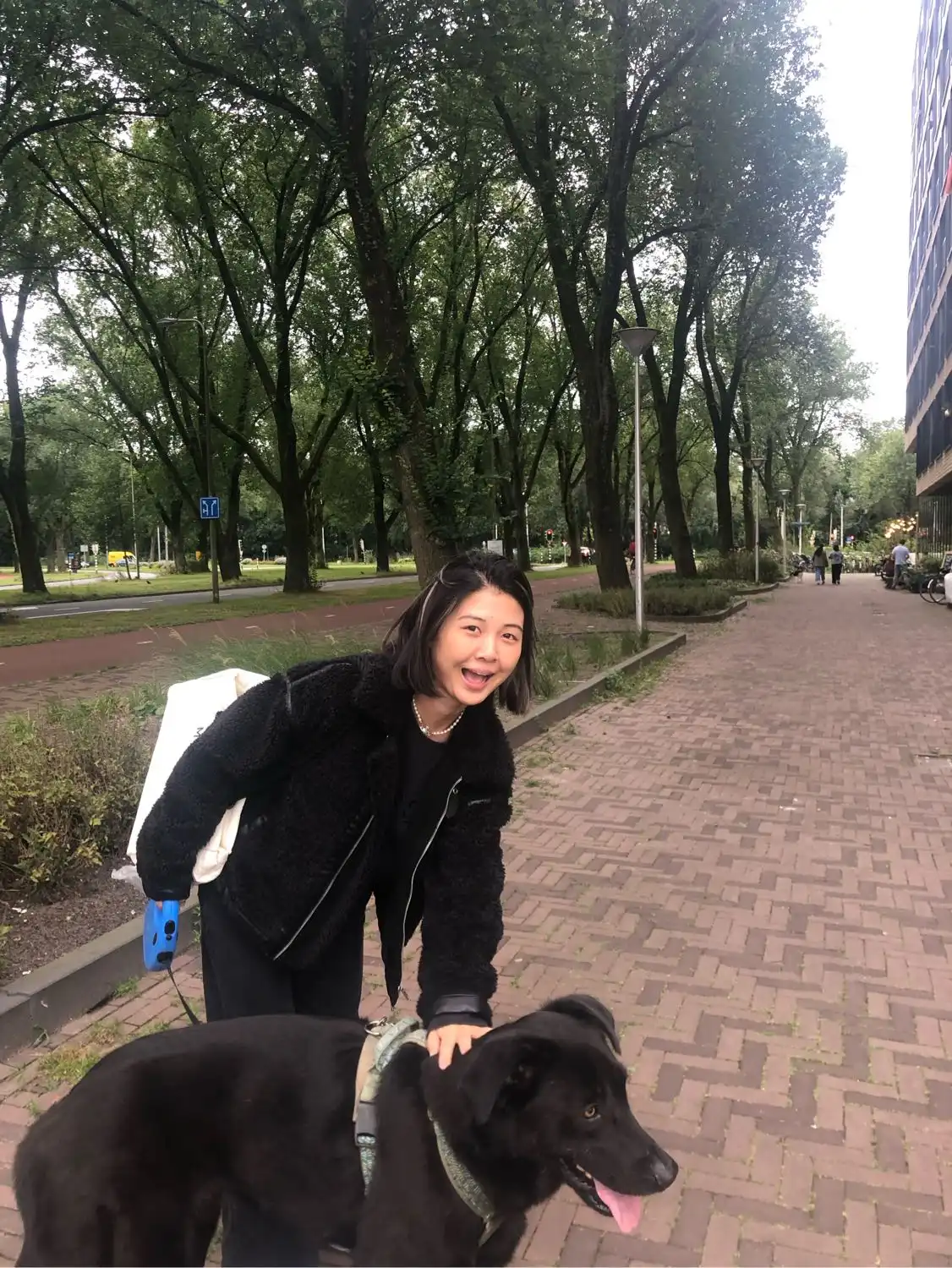 image-6