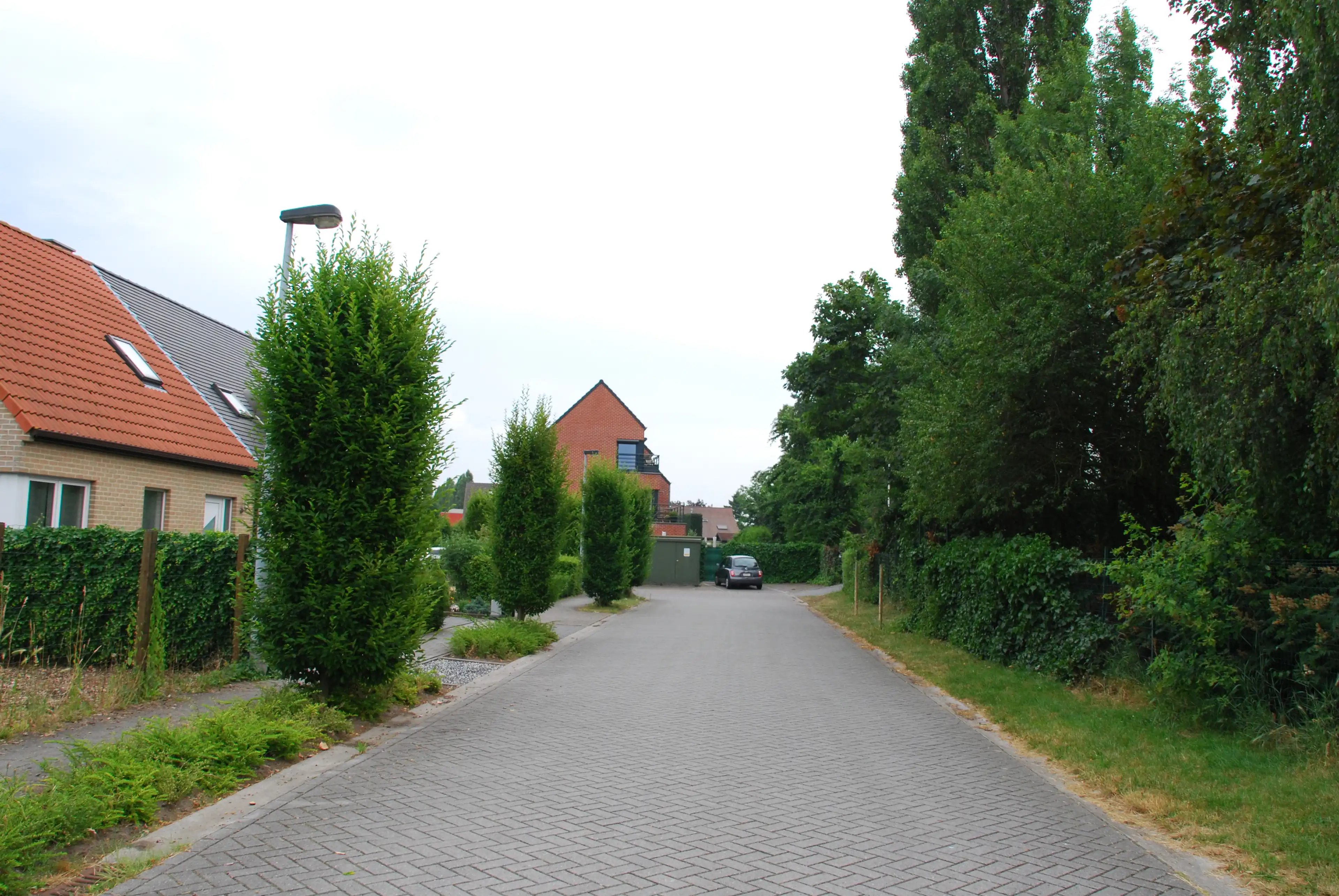 image-20
