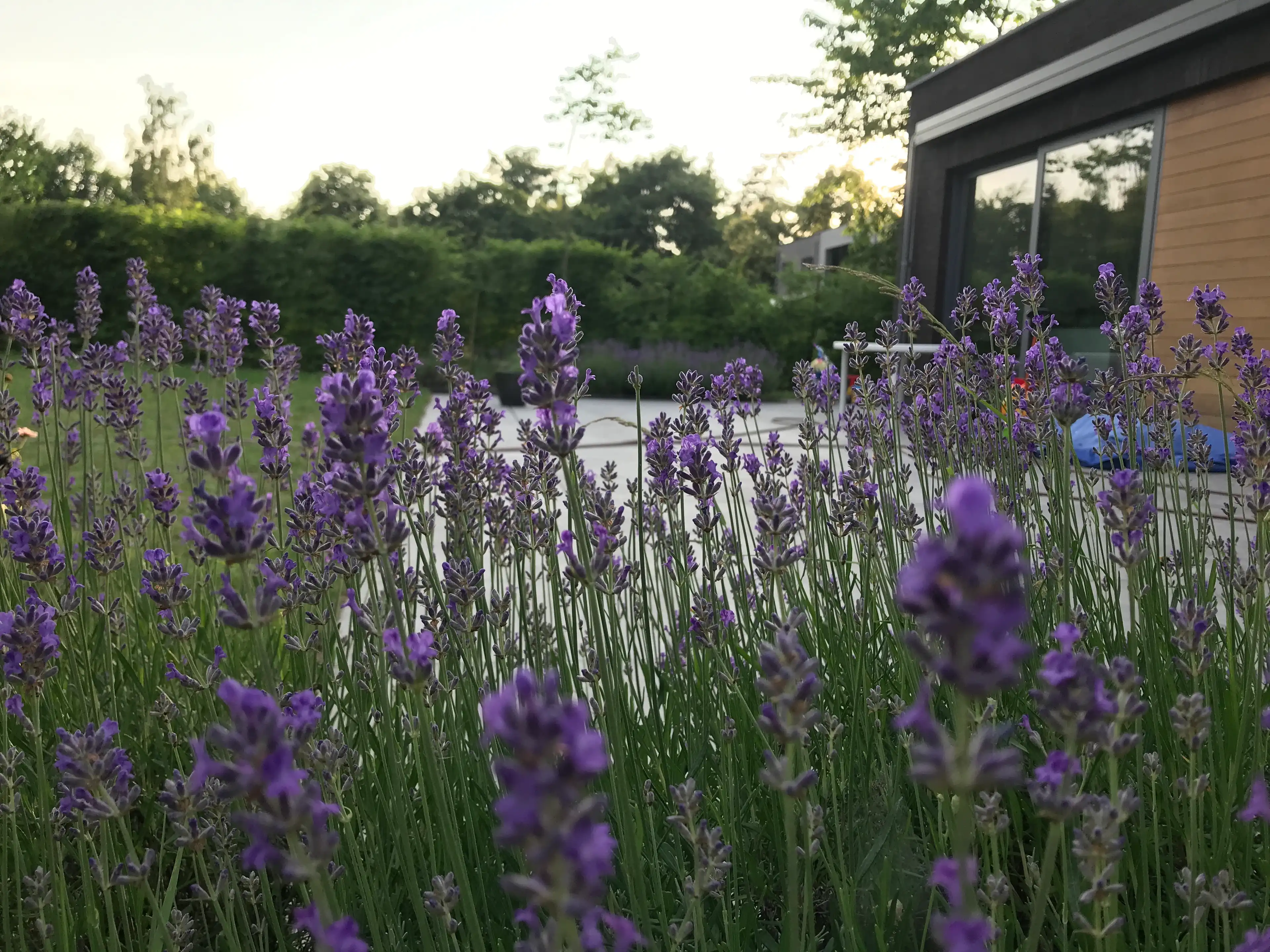 image-16