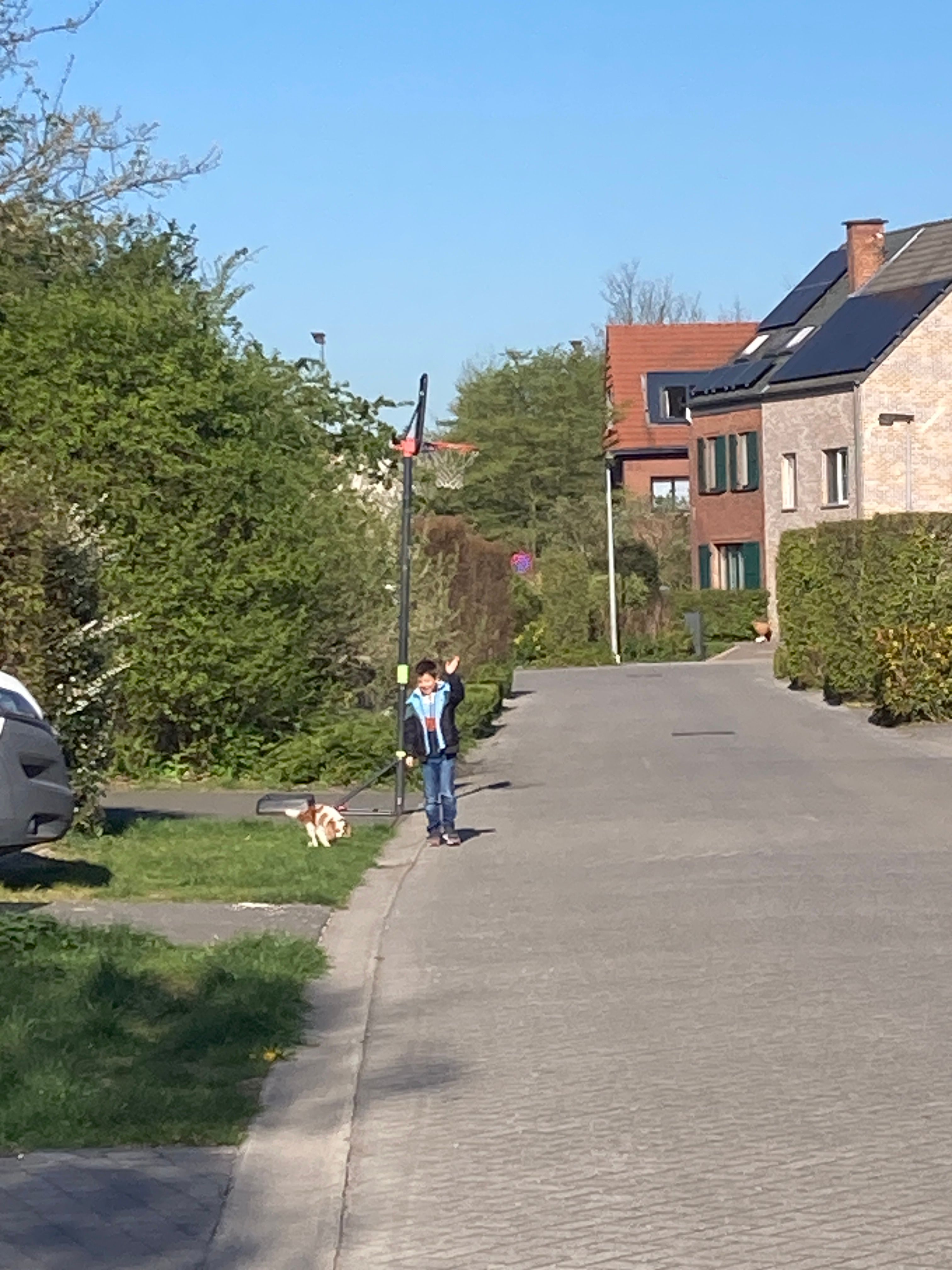 image-21