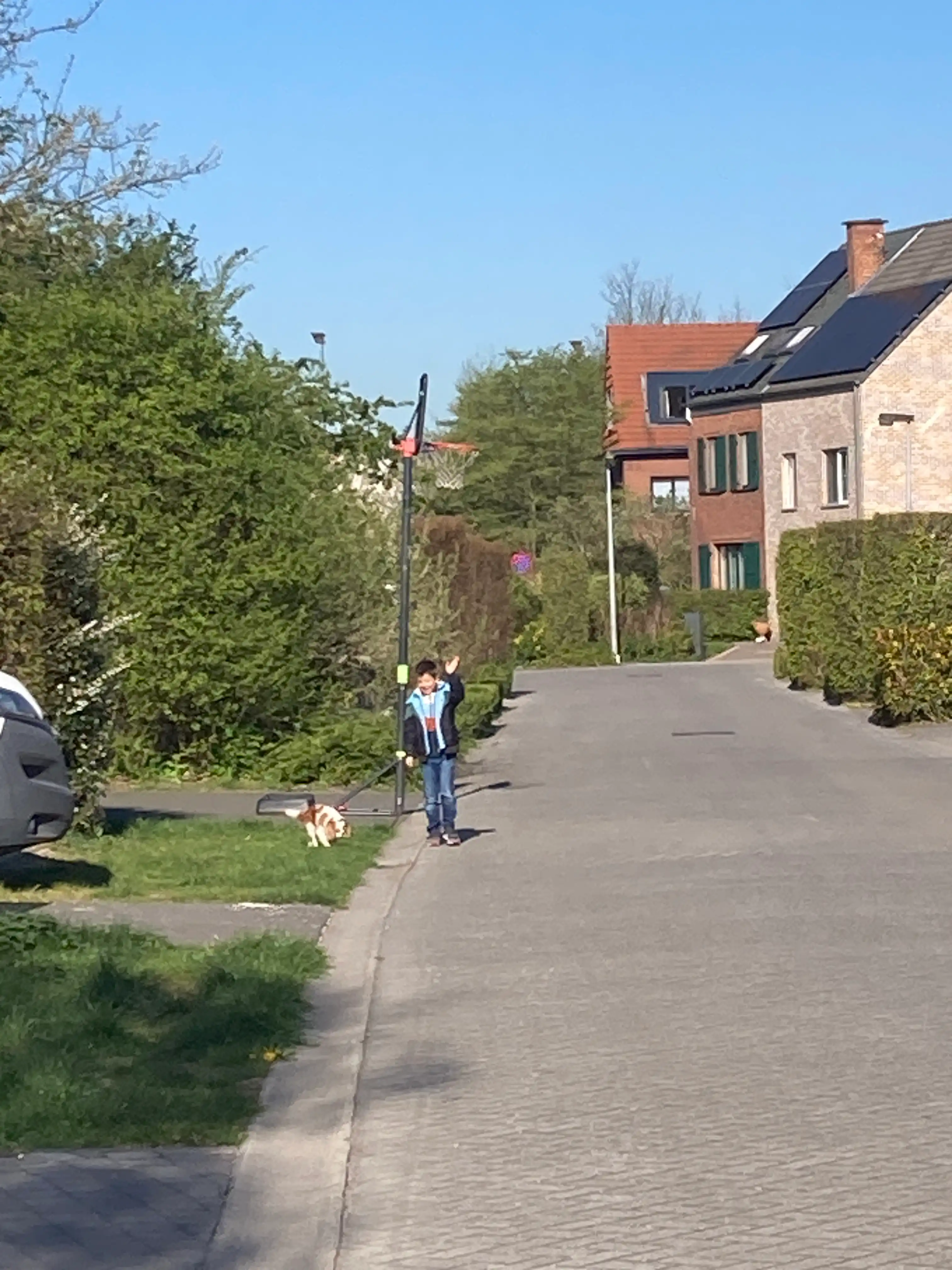 image-21