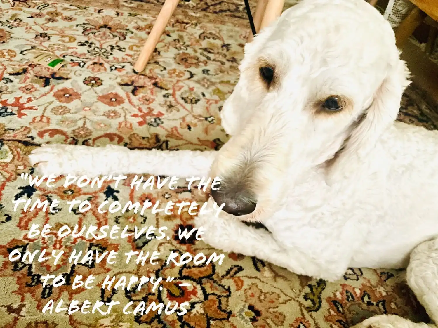 image-25