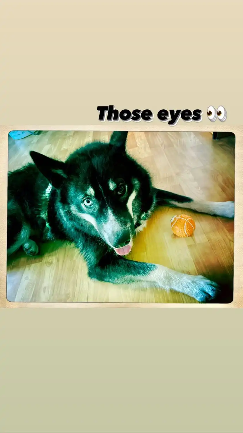 image-20