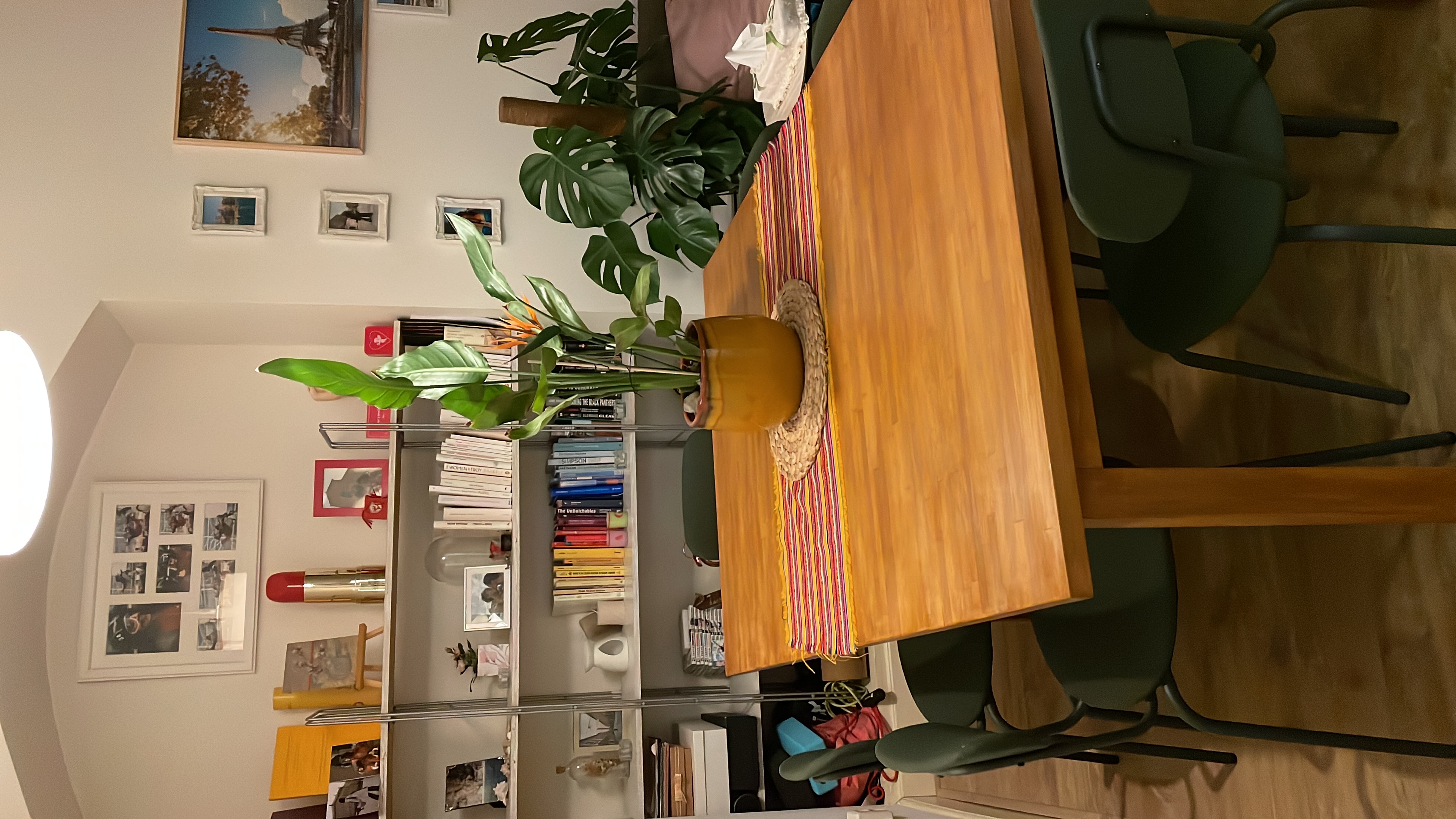 image-19