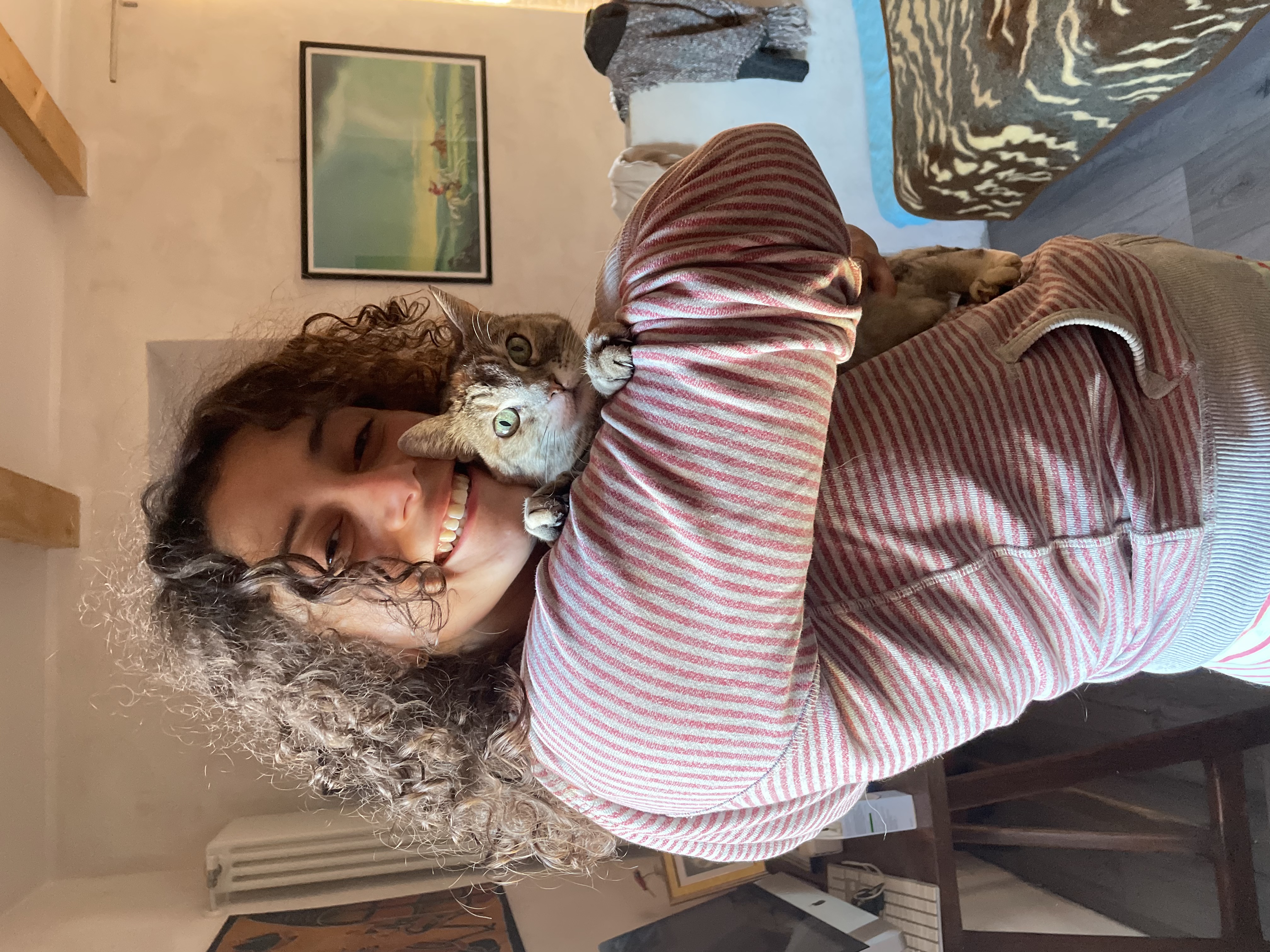 image-6