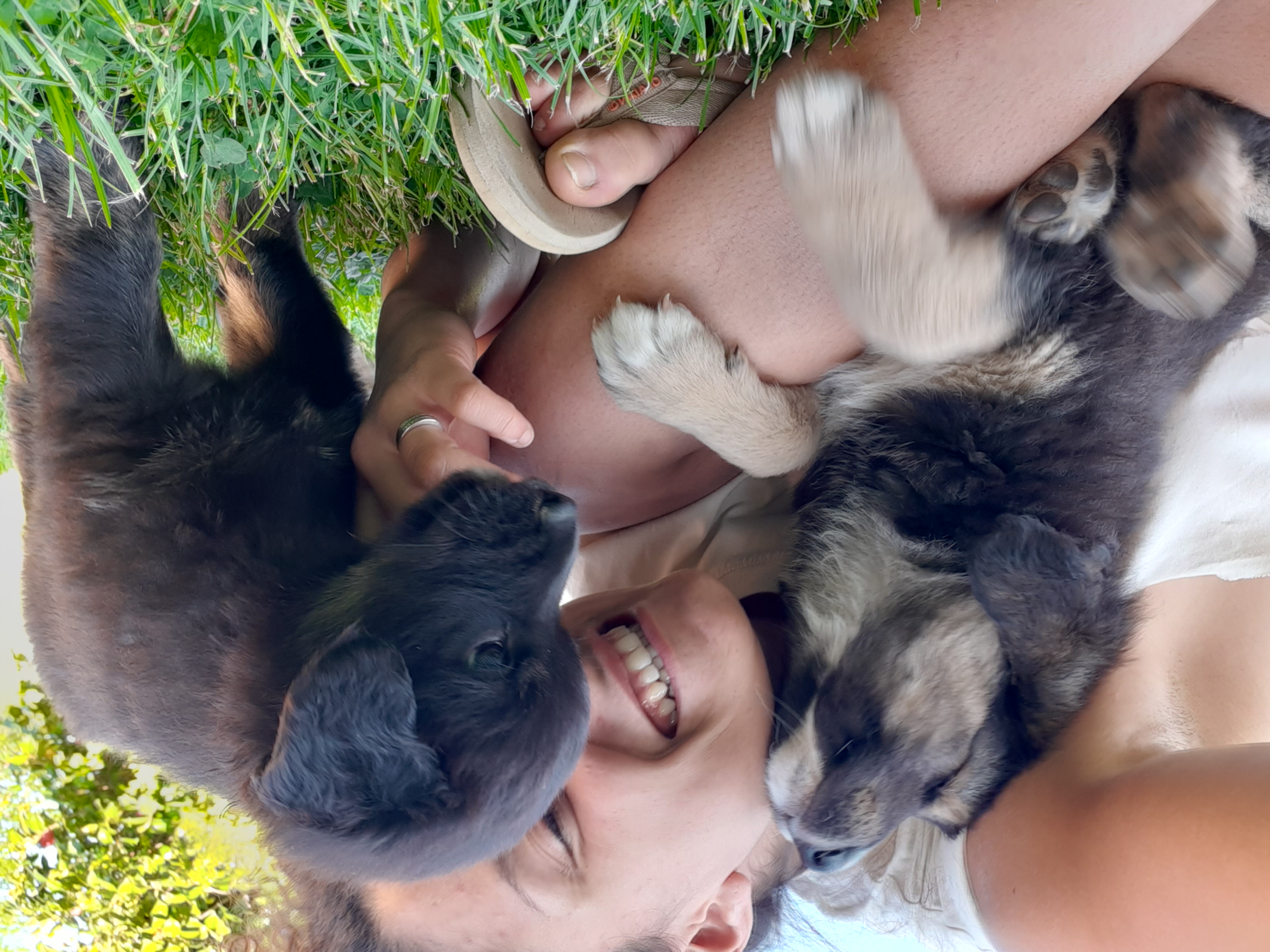 image-5