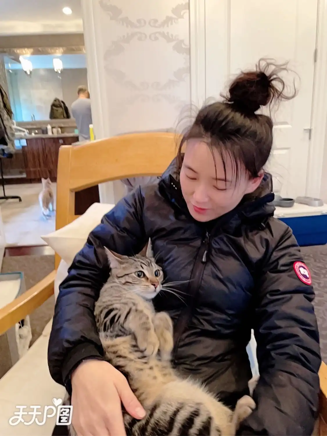 image-27