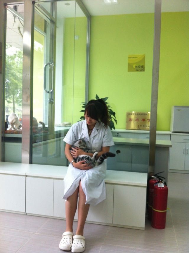 image-3
