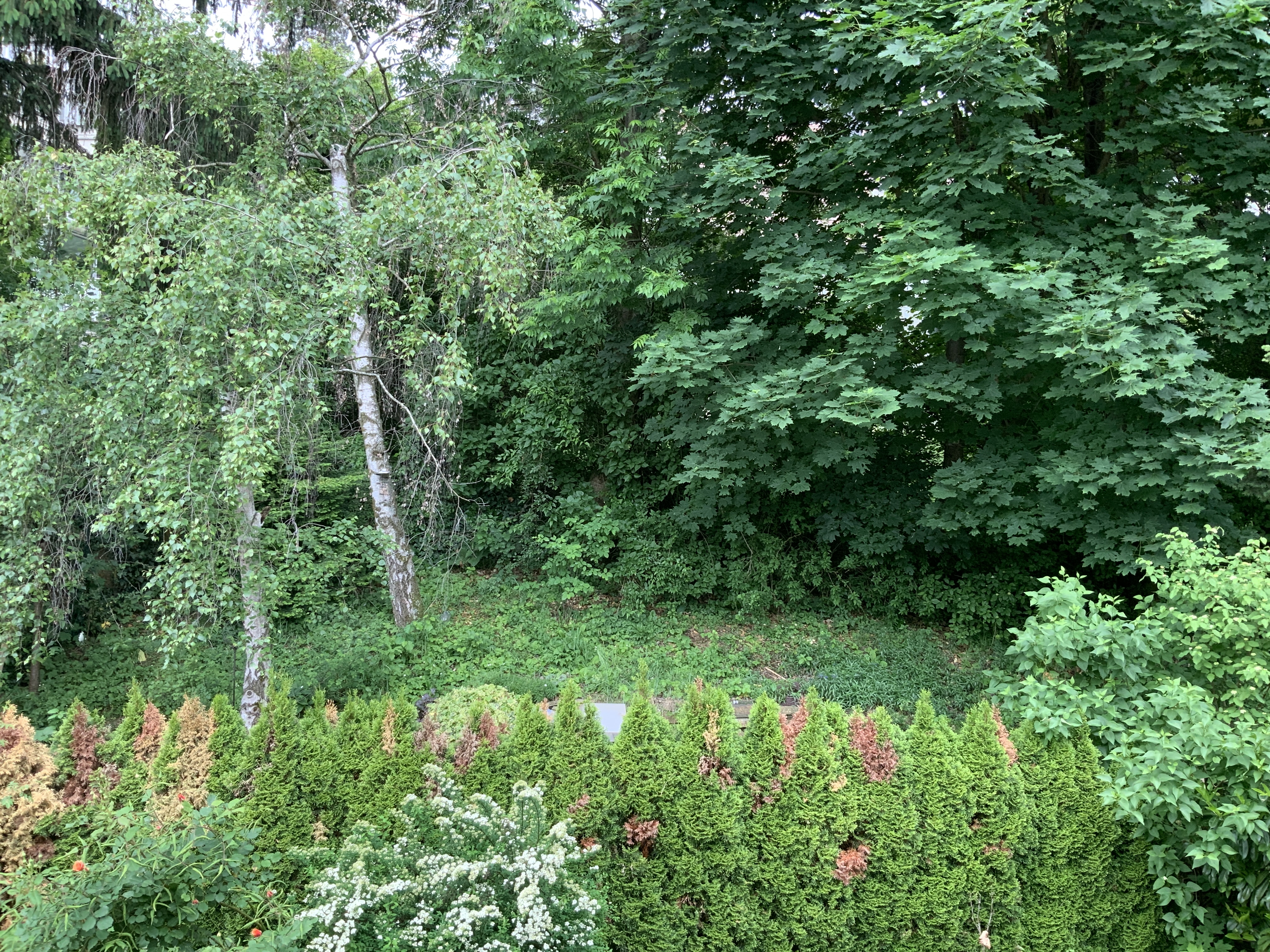 image-18