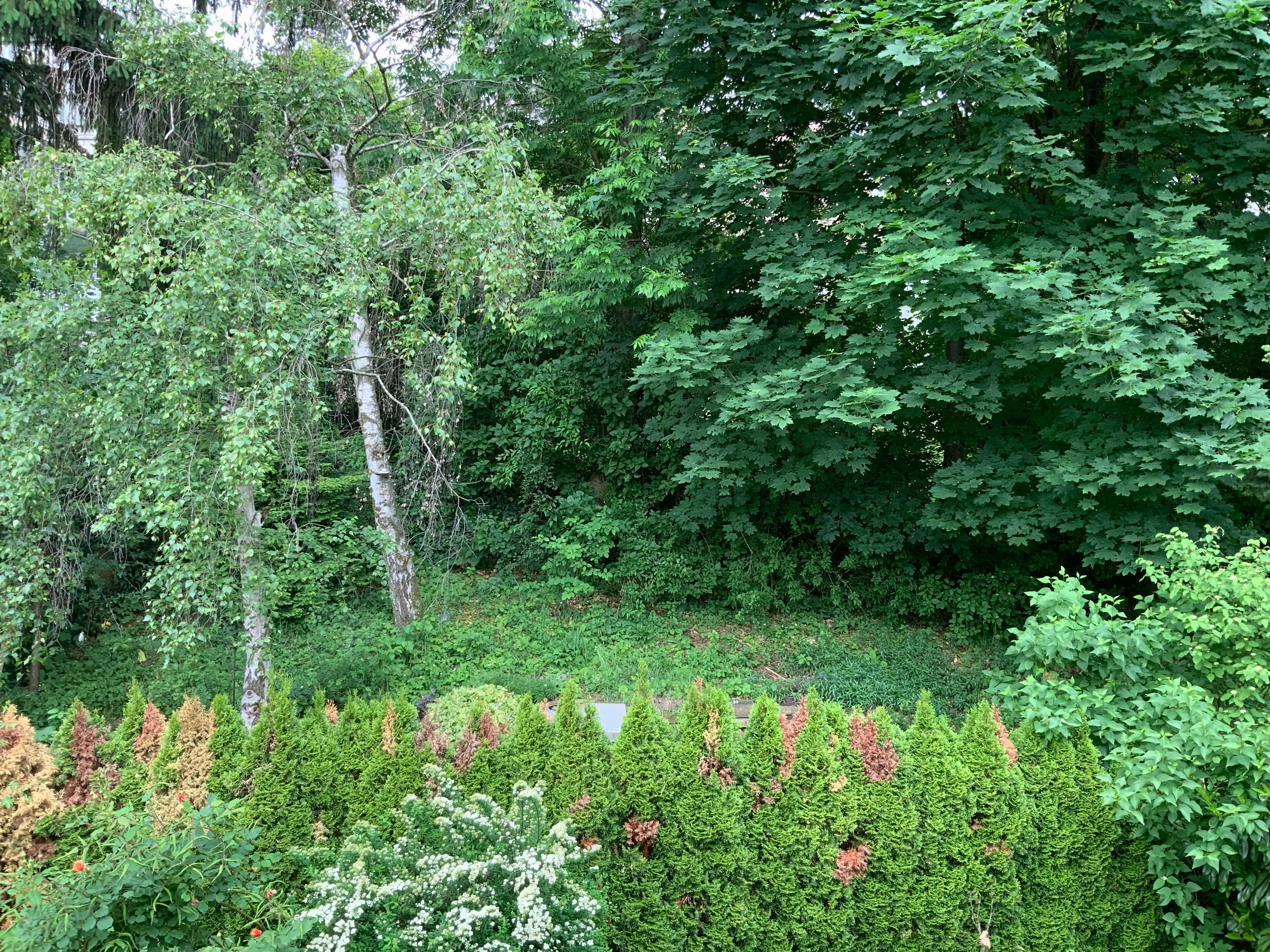 image-18