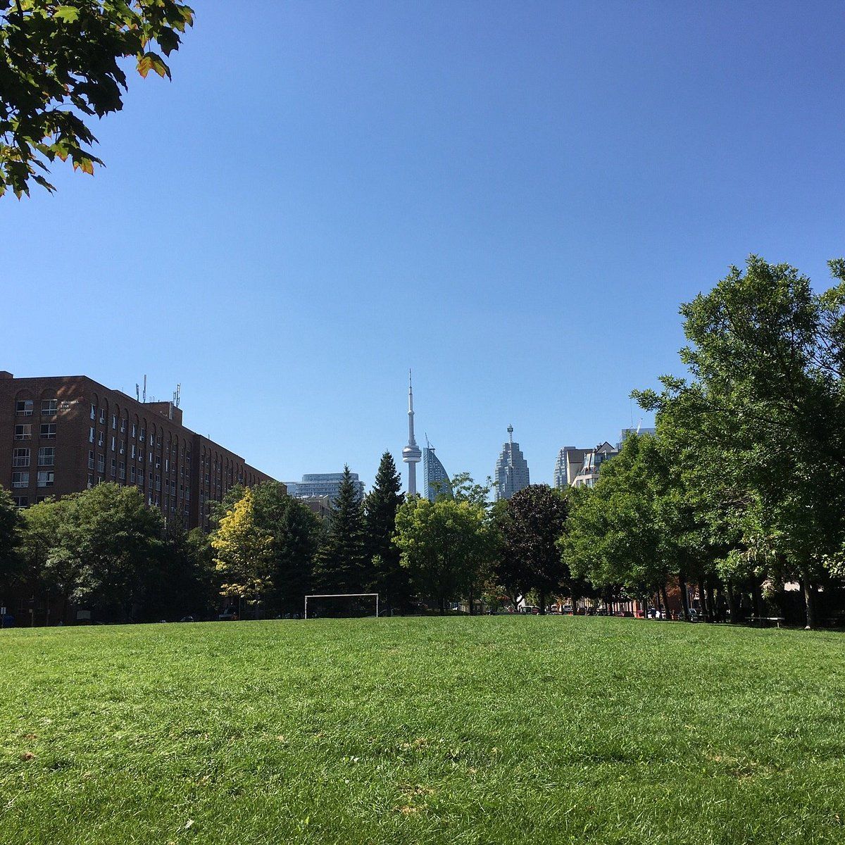 image-19