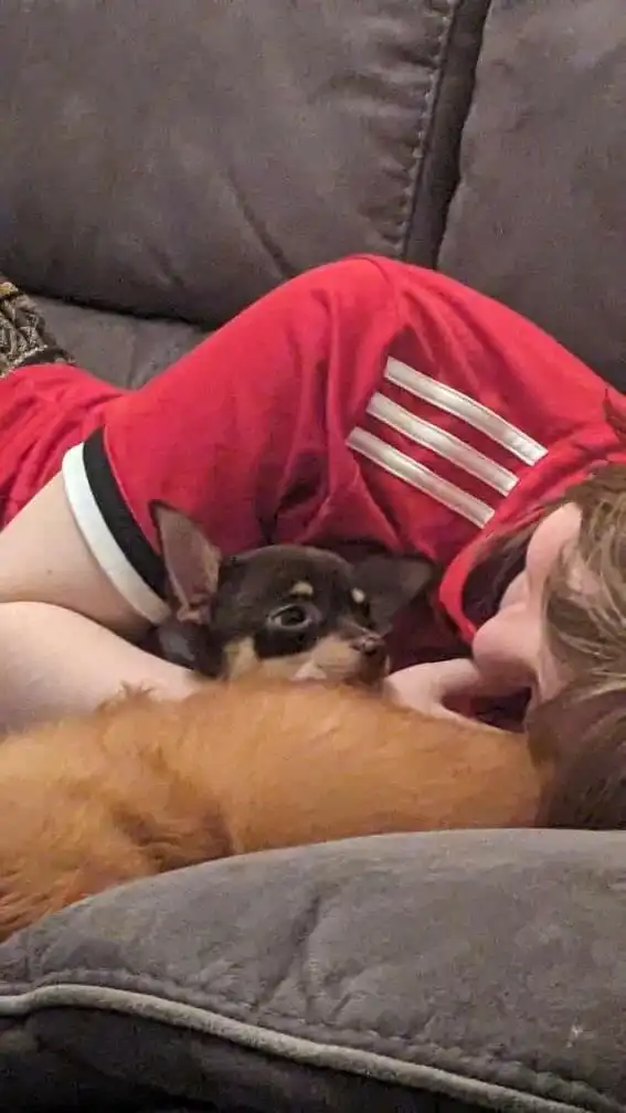 image-8
