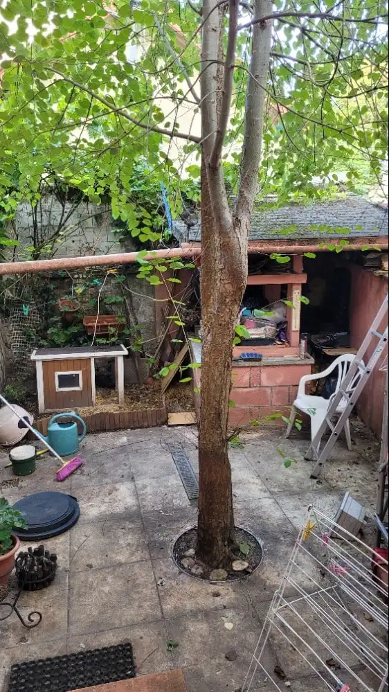image-14