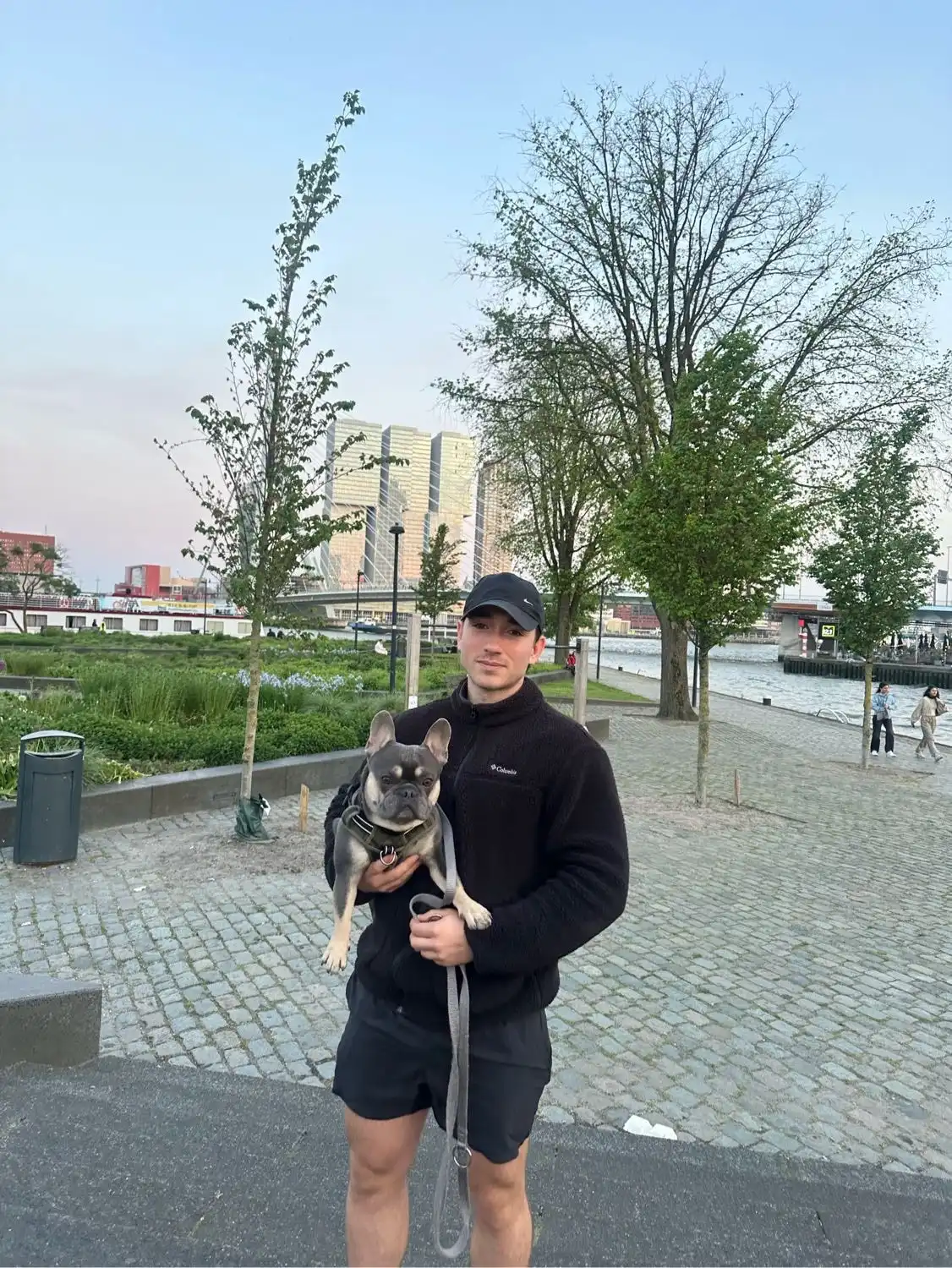 image-12