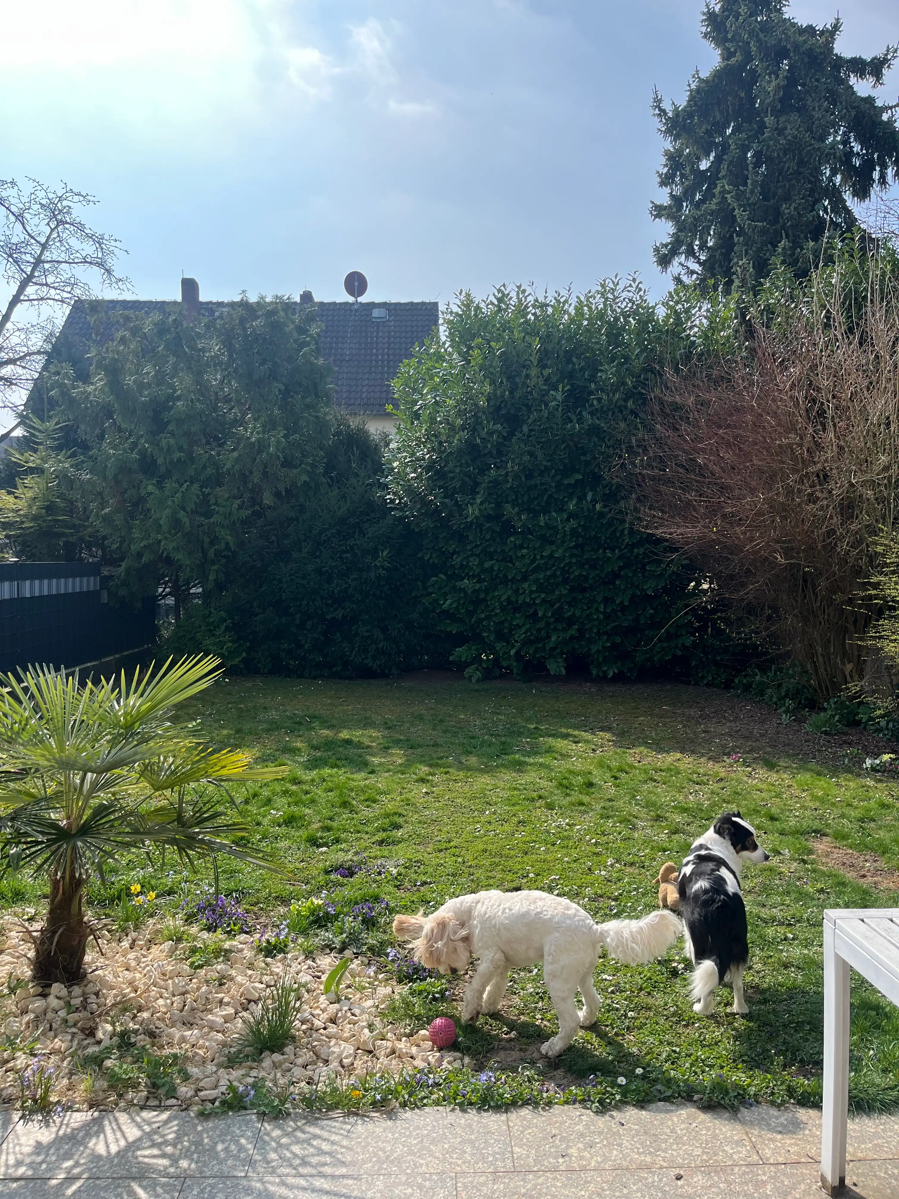 image-24