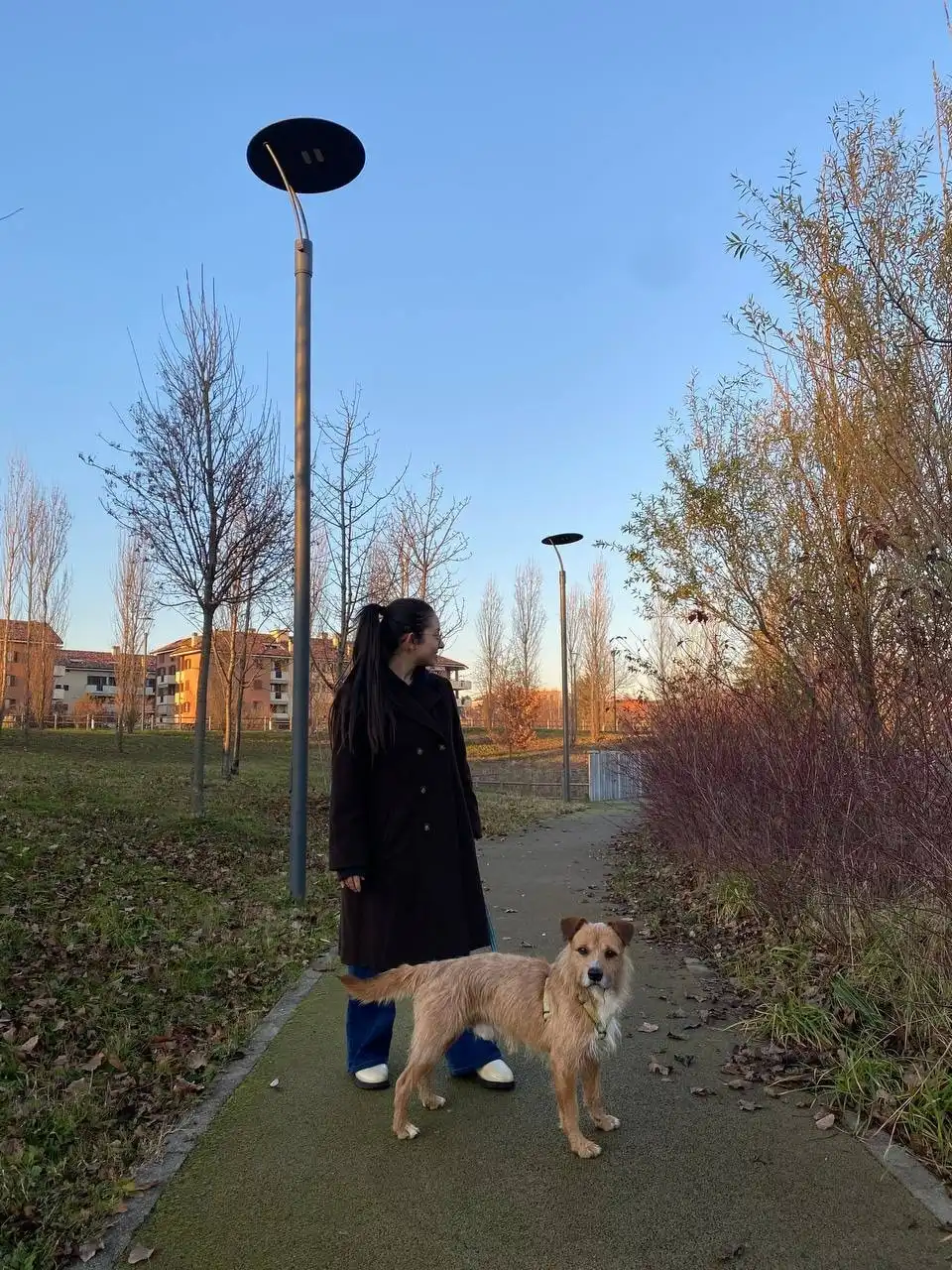 image-11