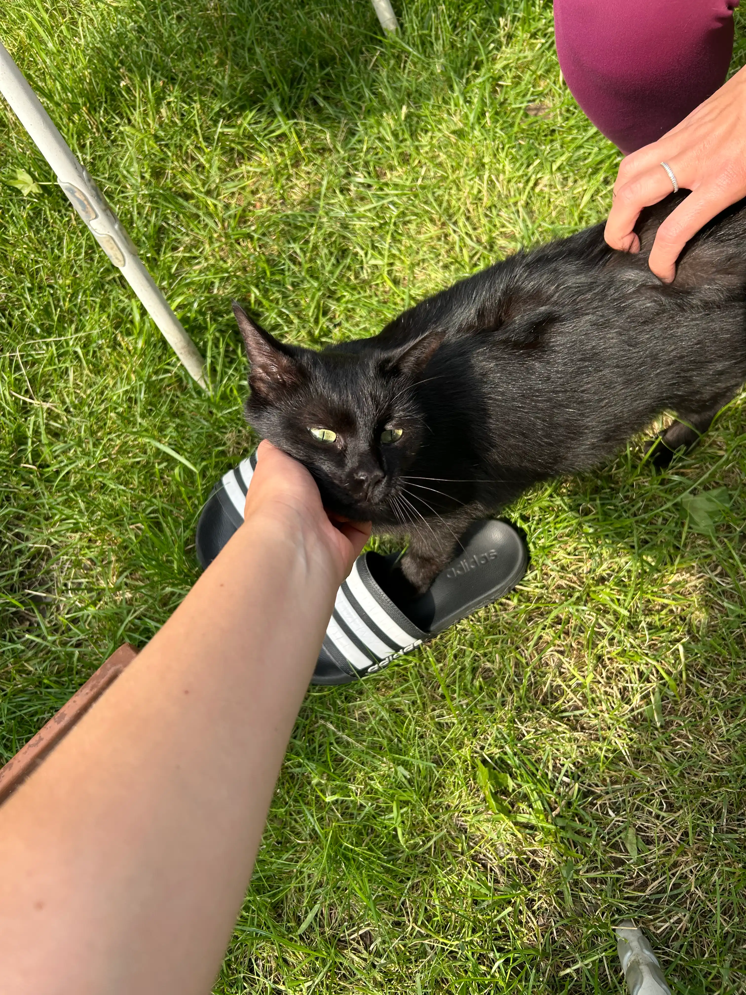 image-8
