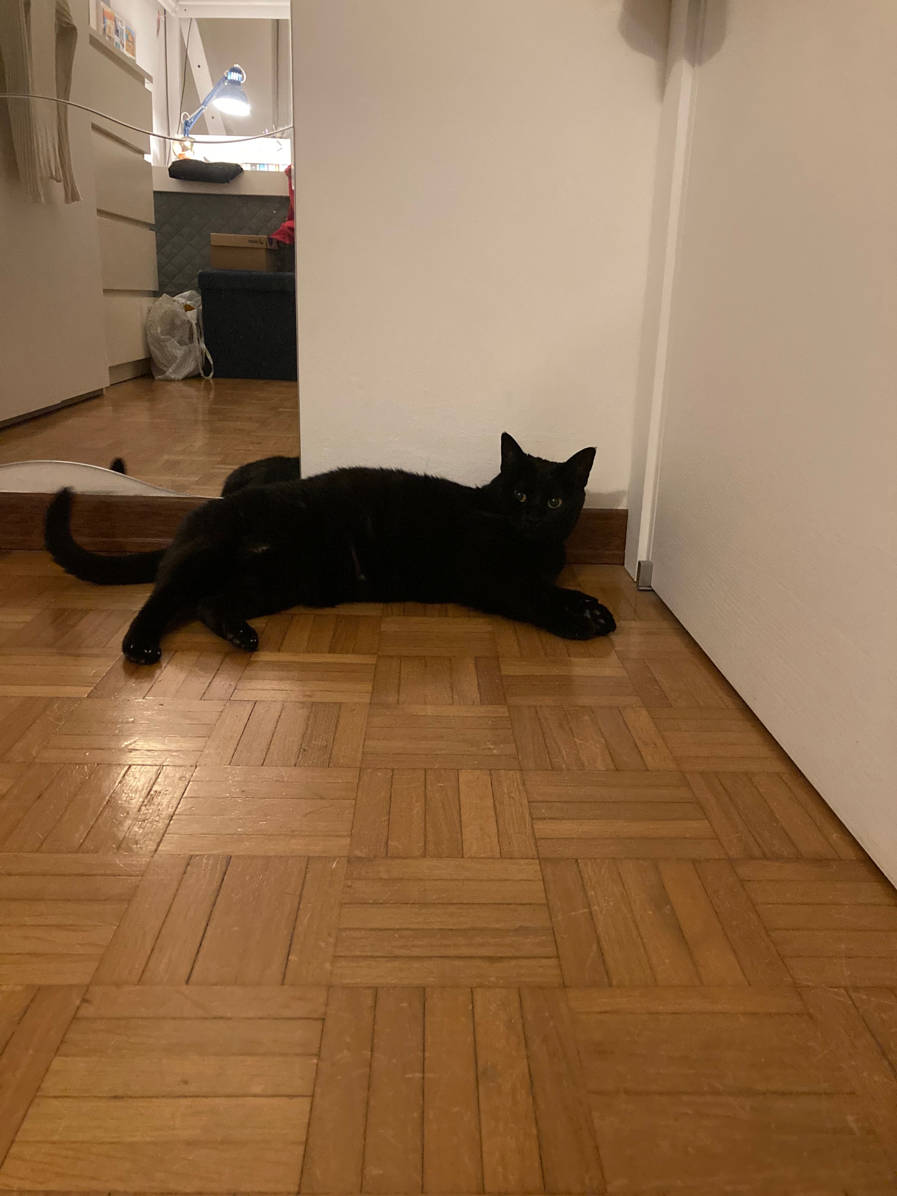 image-11