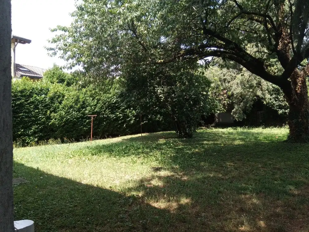 image-24