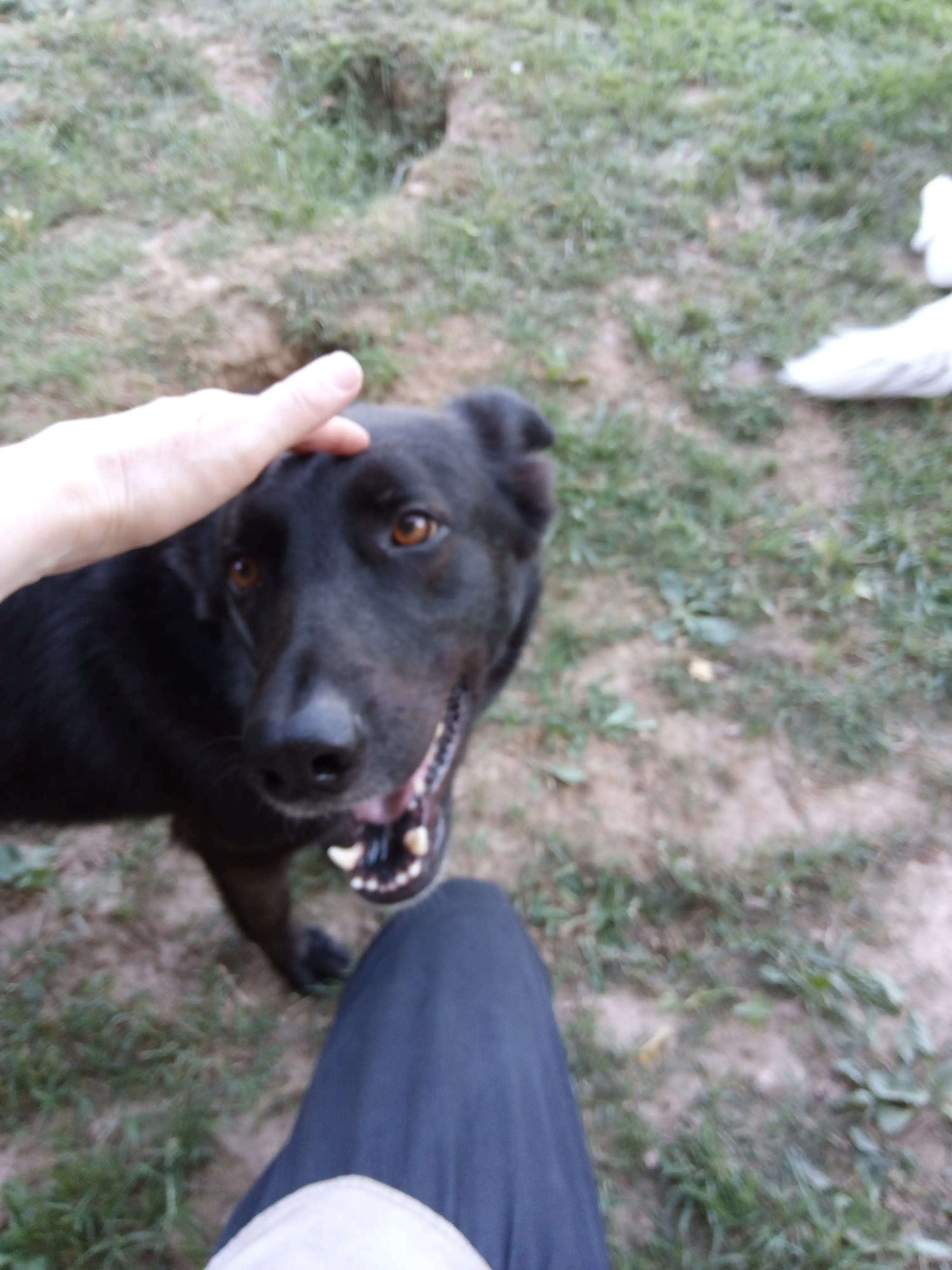 image-7