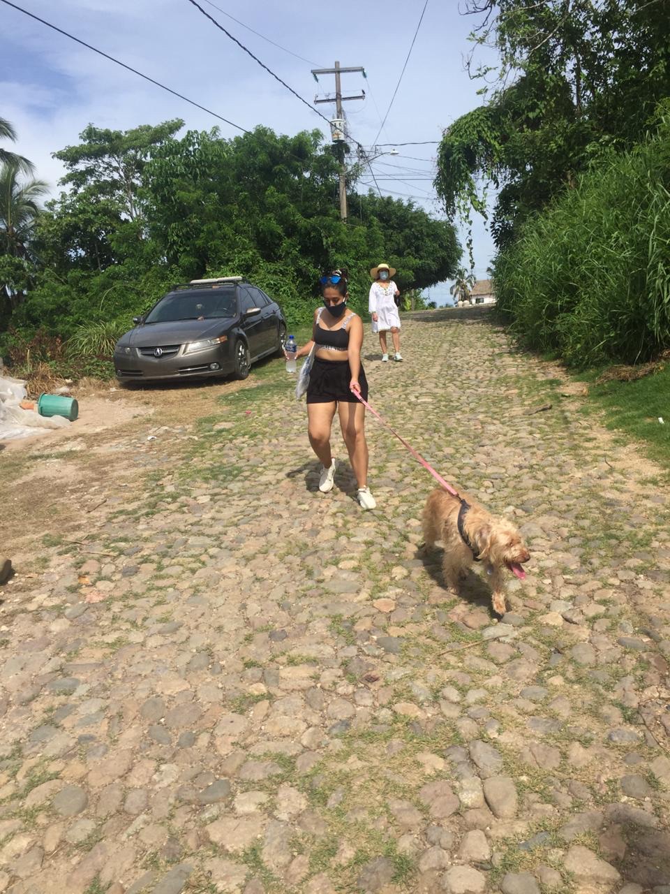 image-4