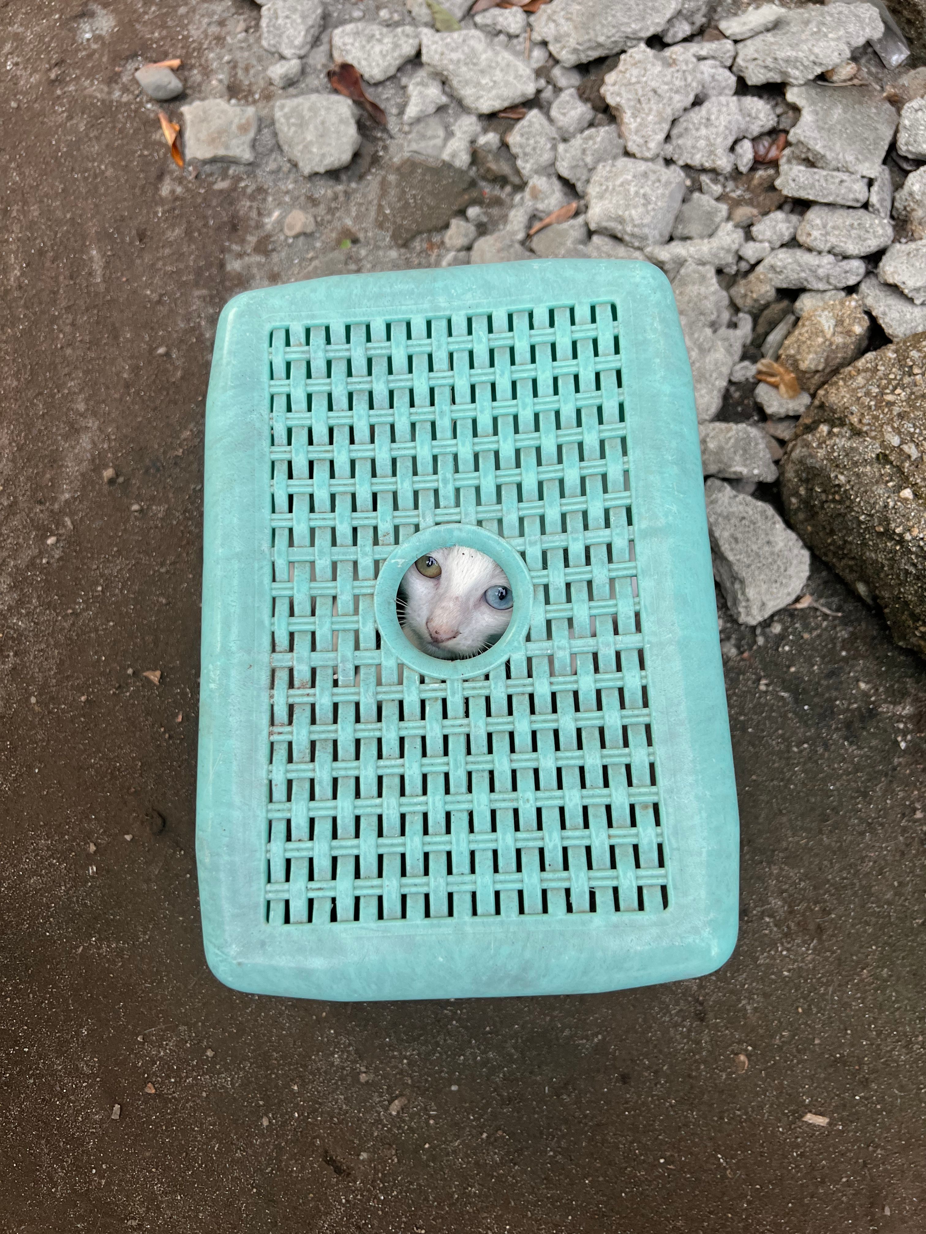 image-12