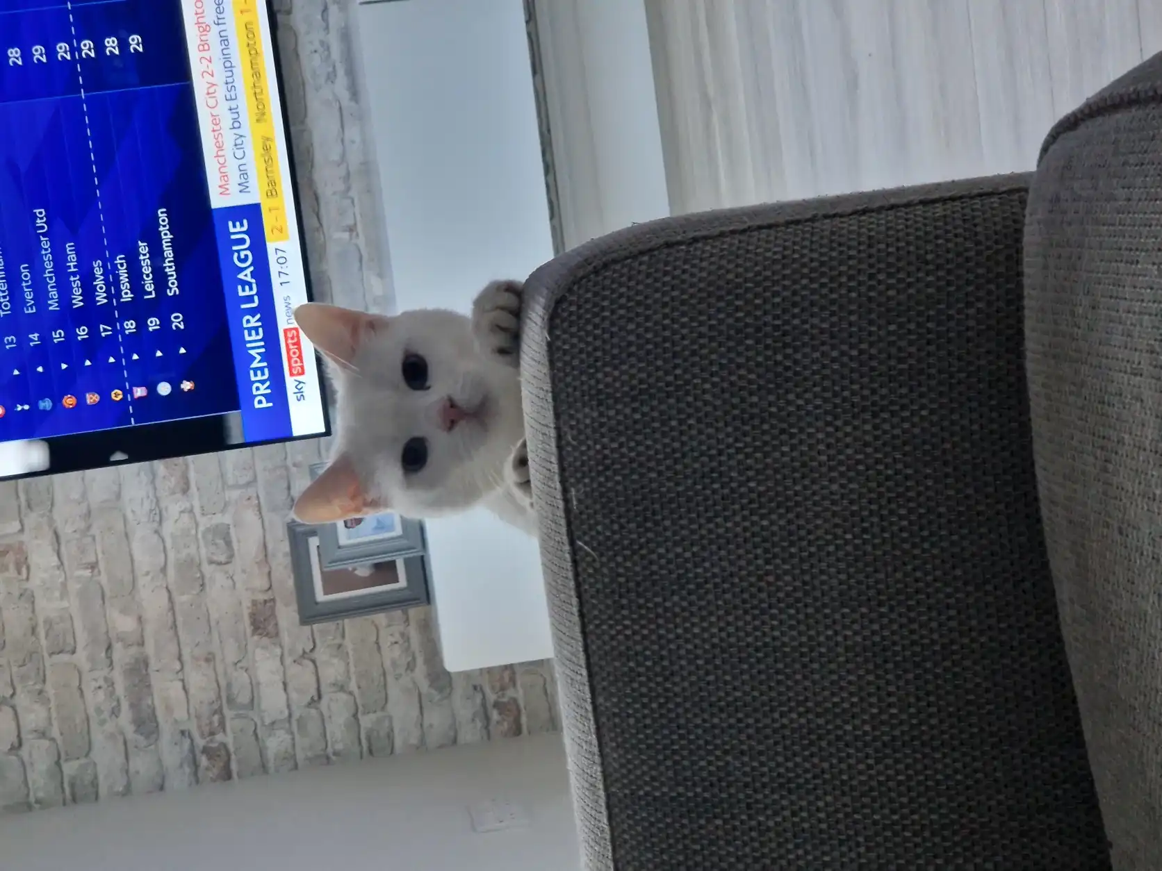 image-8
