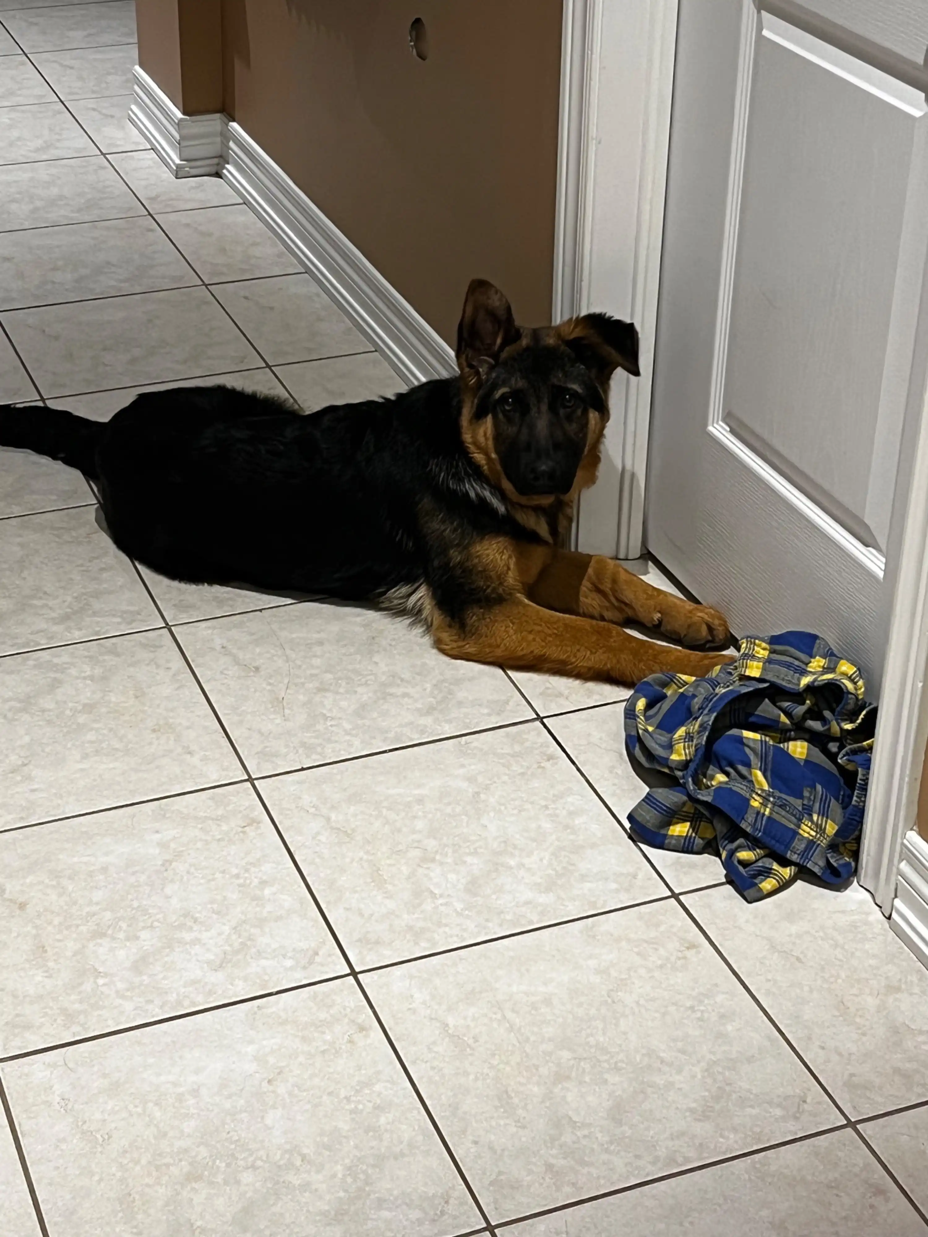 image-11