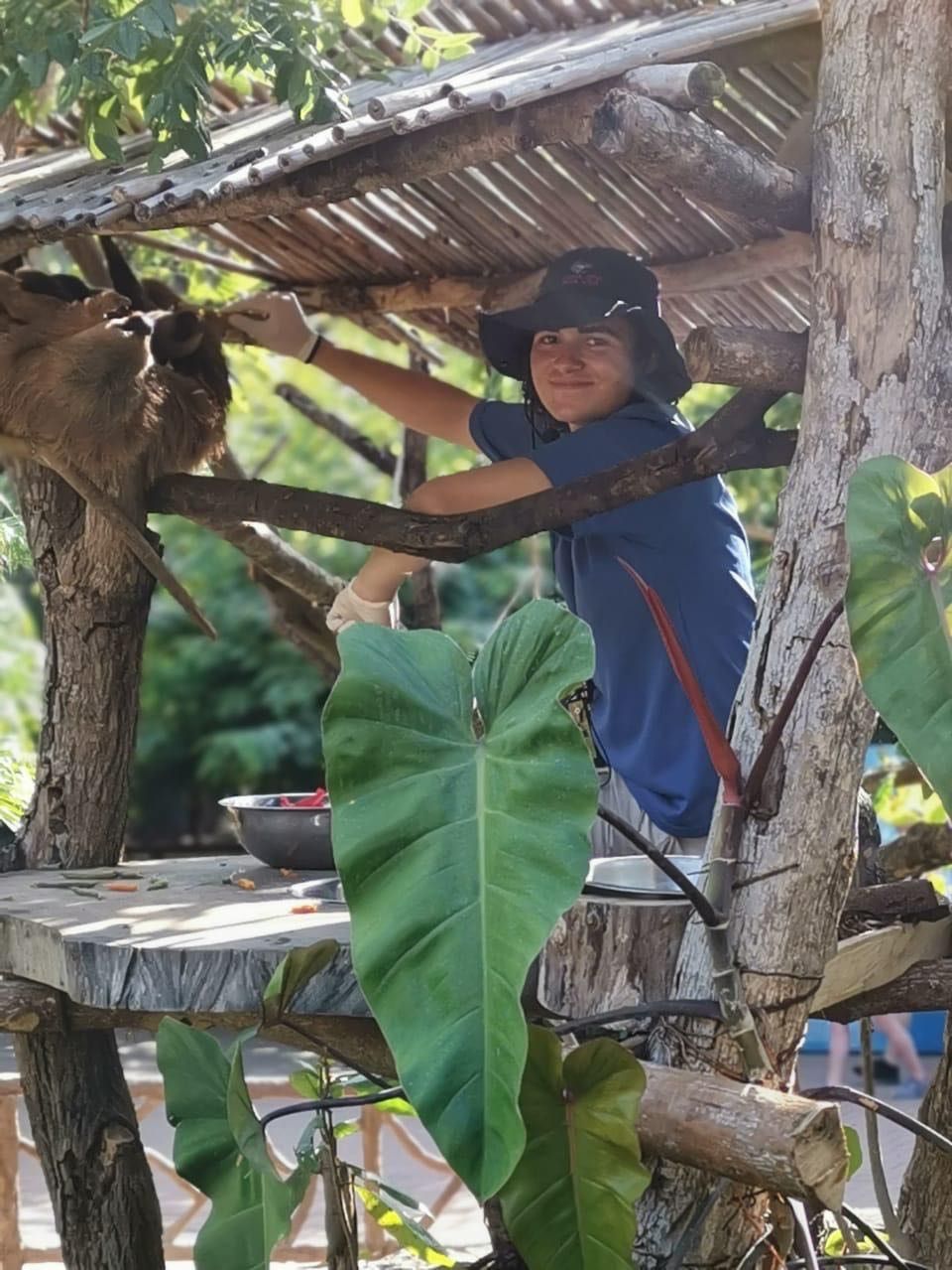 image-11