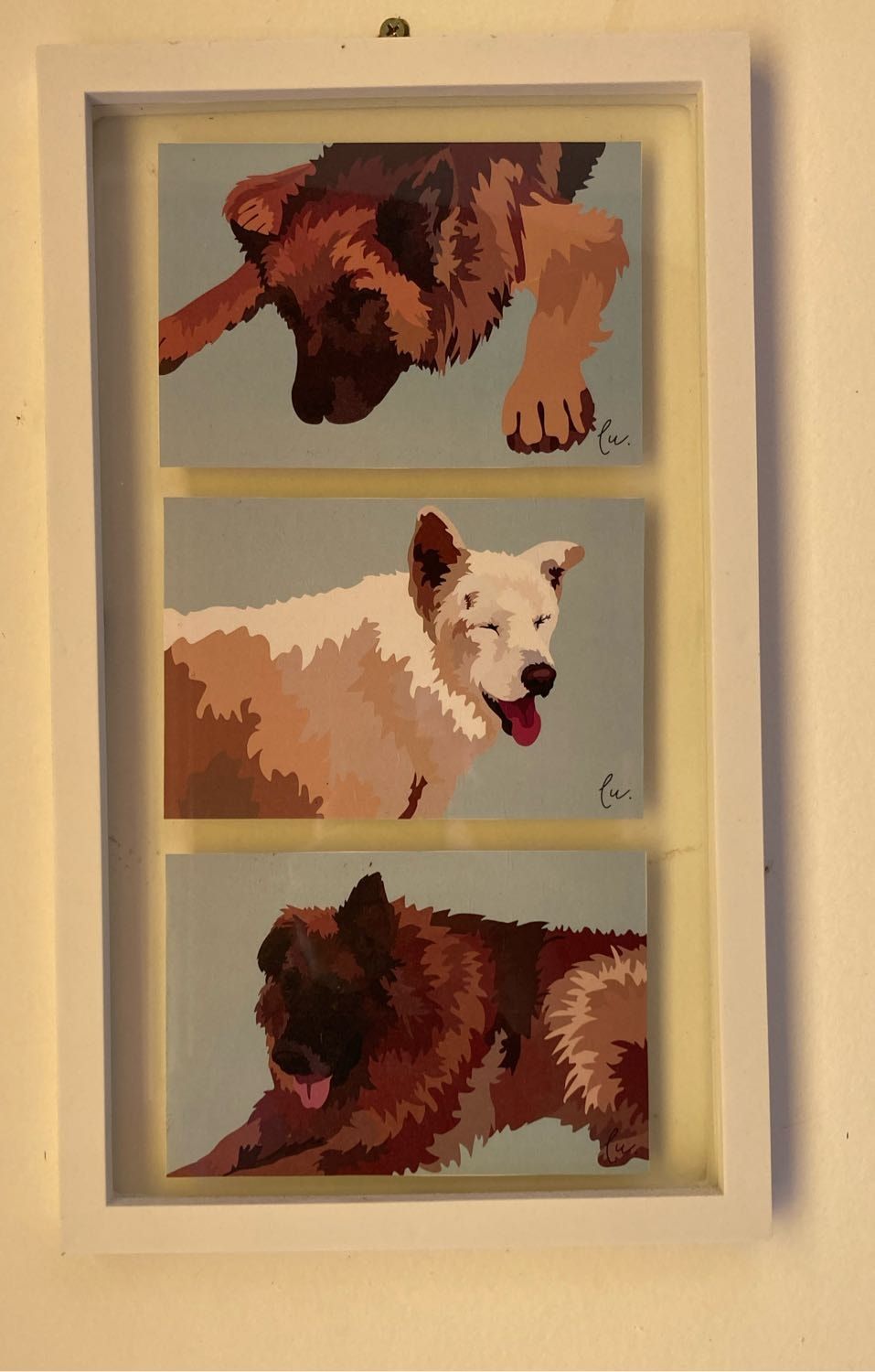 image-6