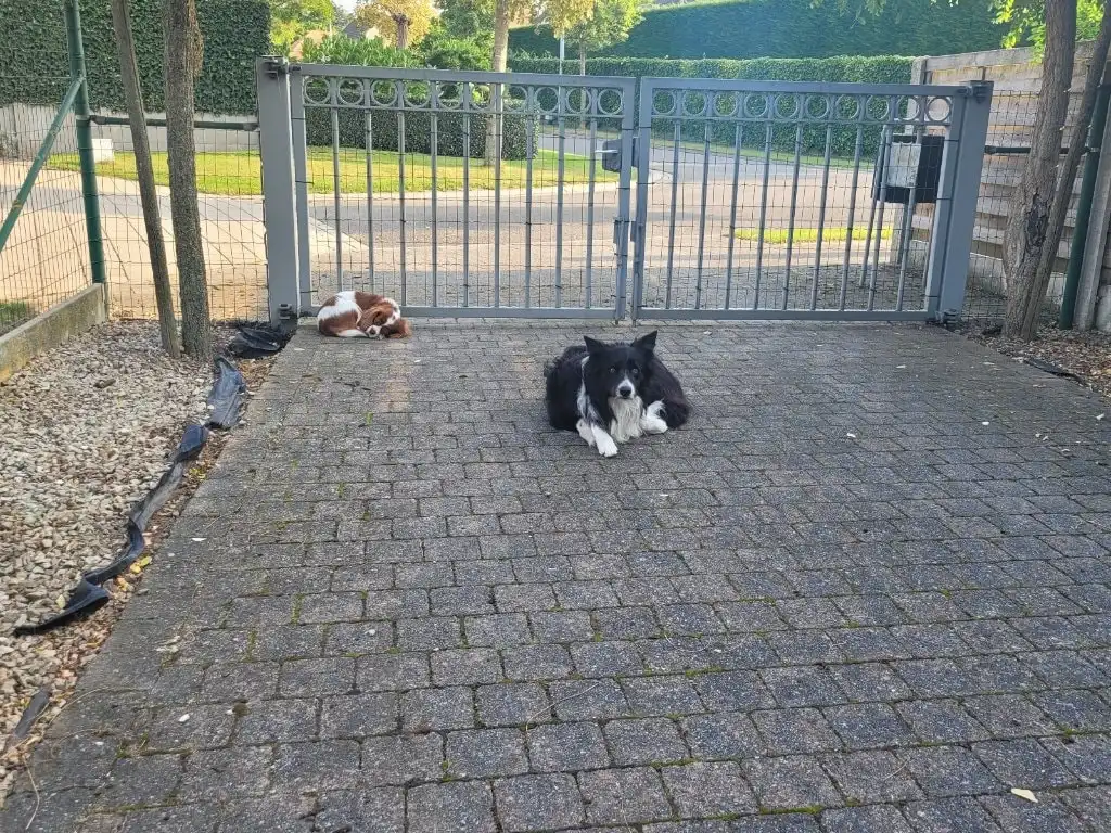 image-8