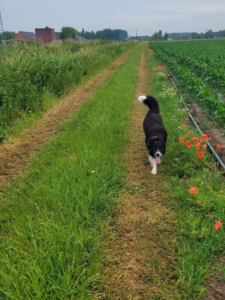 image-42