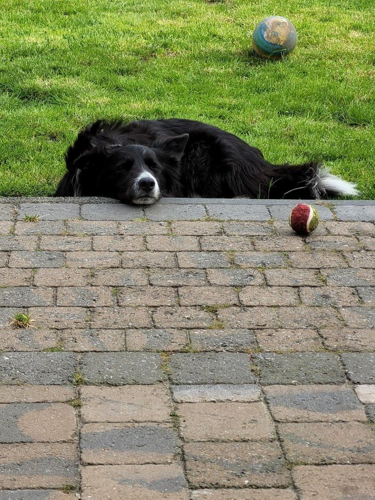 image-44