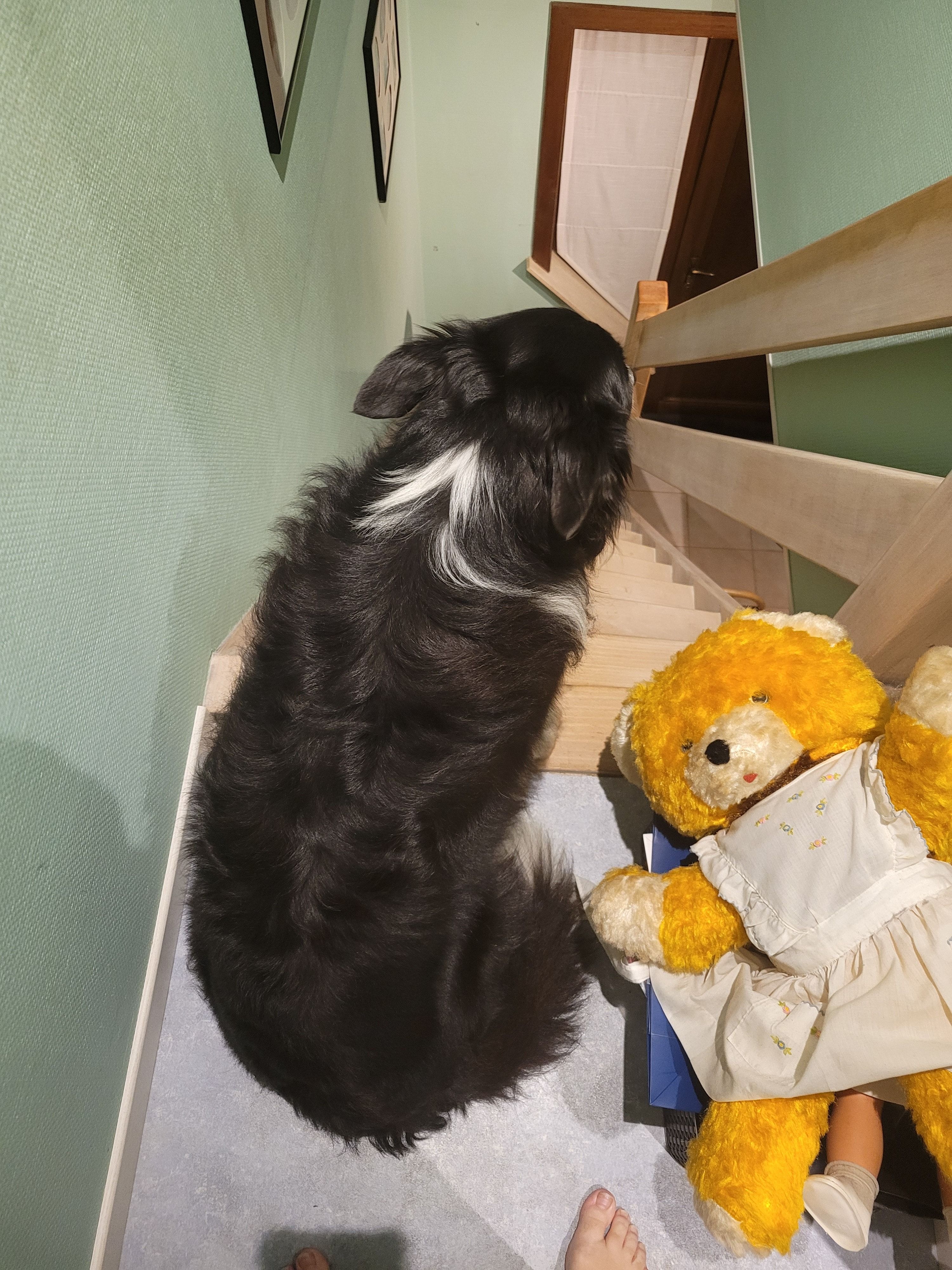 image-16