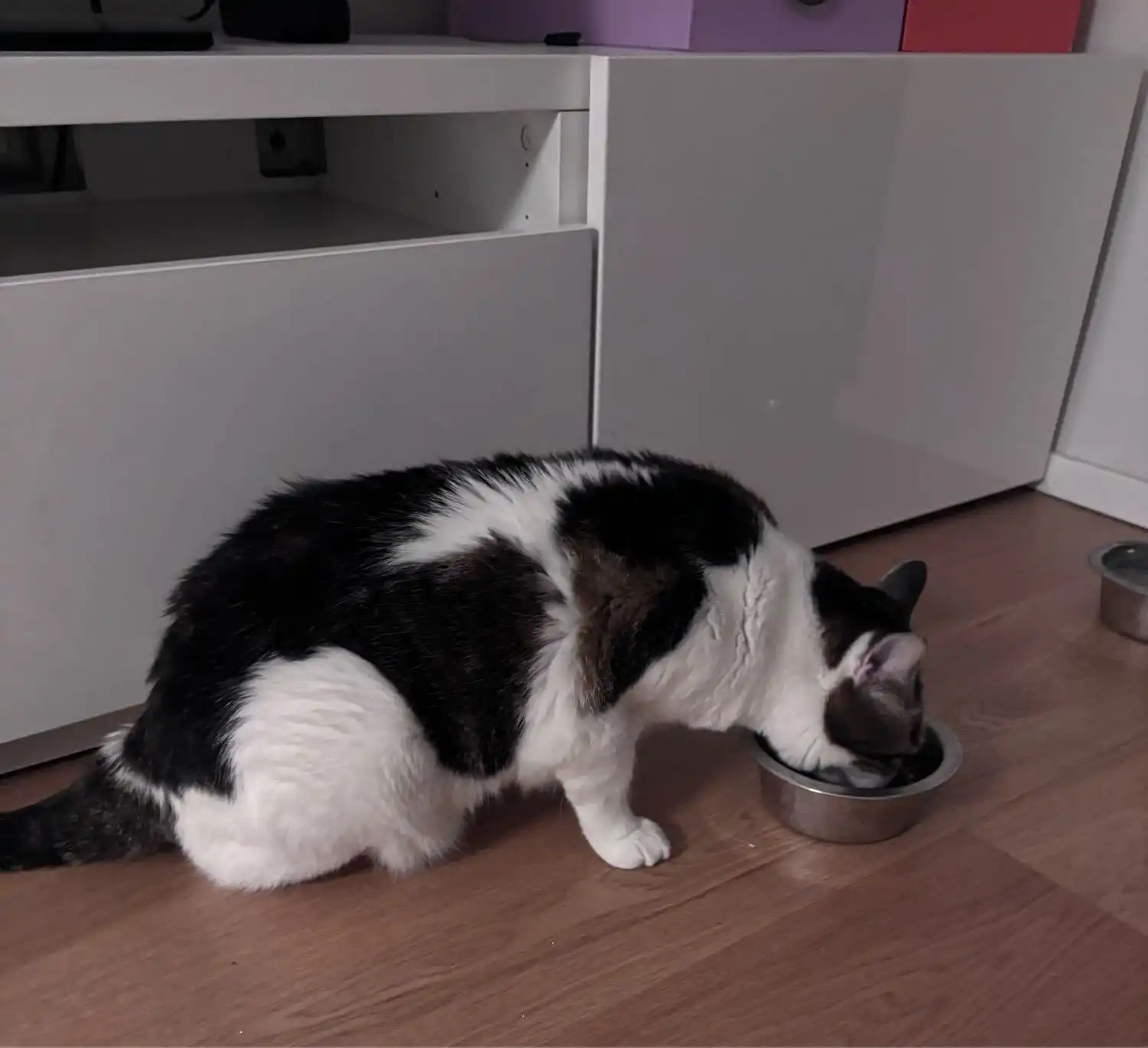 image-12